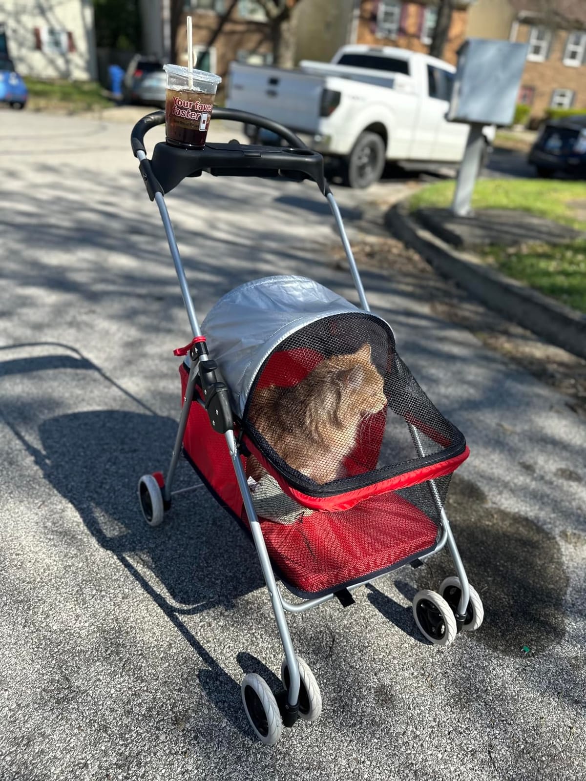 BestPet Foldable Pet Stroller for Small/Medium Dogs and Cats Up to 33 lbs customer photo 2