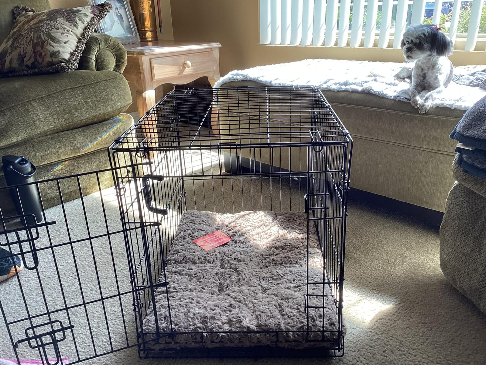 MidWest Homes for Pets XXS QuietTime Deluxe Gray Ombré Swirl Plush Pet Bed, Machine Washable, Non-Skid Bottom, Soft Crate Mat for 18-inch Crates customer photo 1