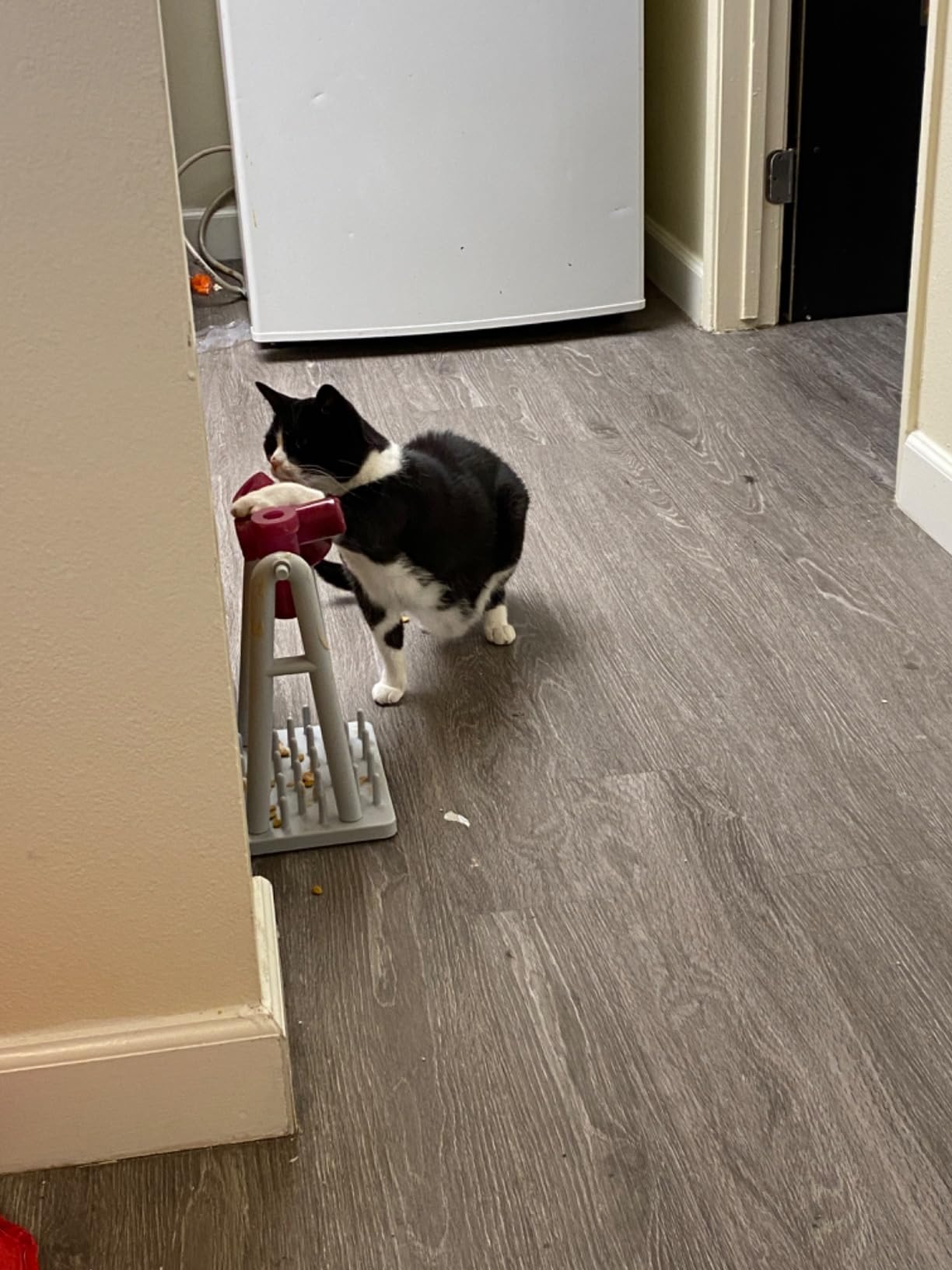 TRIXIE Cat Activity Turn Around Strategy Game, Slow Feeder, Interactive, Treat Toy, All Breed Sizes 9 x 7 x 13 in. customer photo 1