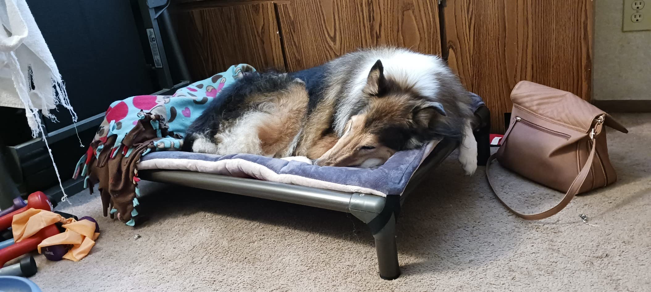 Kuranda Chewproof Elevated Dog Bed - Walnut PVC - 30