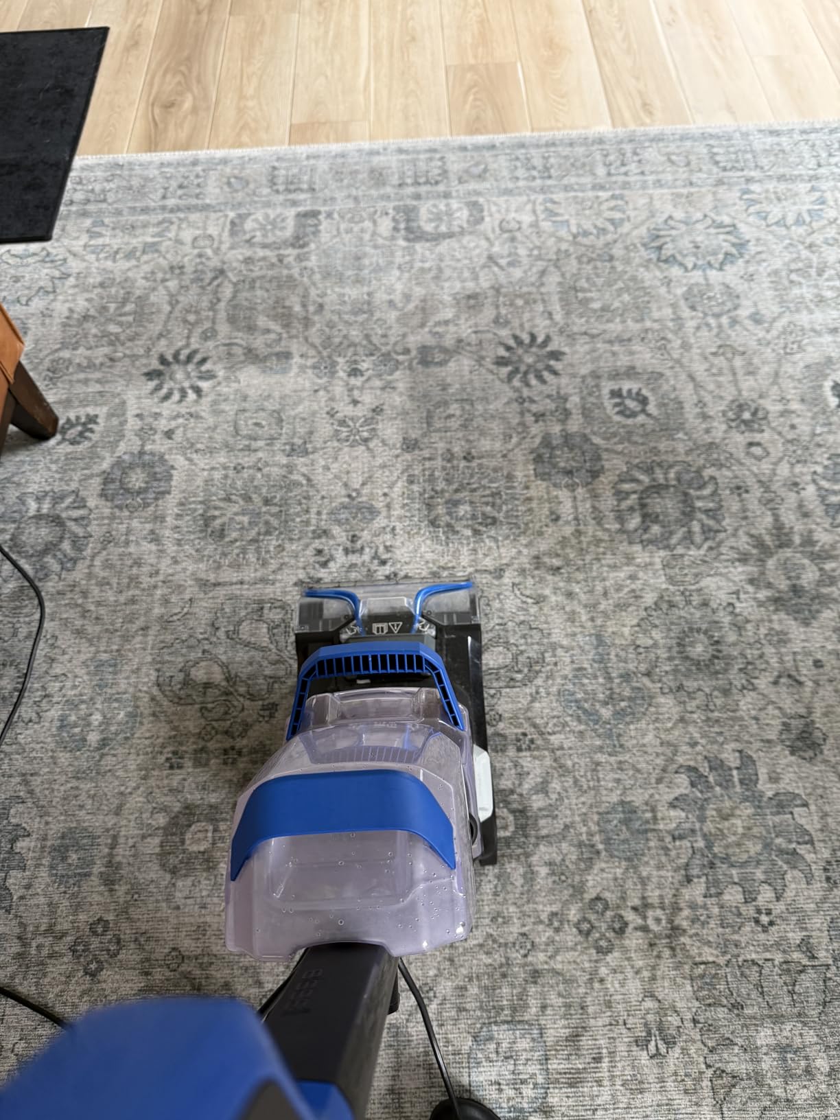 Bissell 78H63 Deep Clean Pro 4X Deep Cleaning Concentrated Carpet Shampoo, 48 ounces - Silver customer photo 2