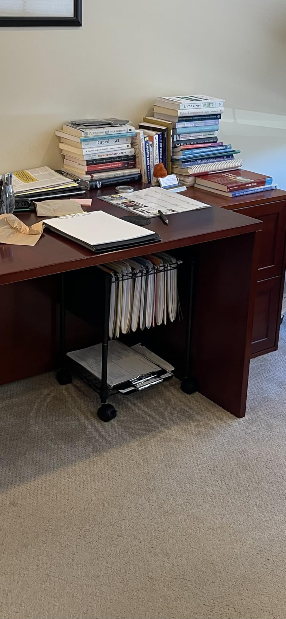 LYS Mobile Wire Filing Cart customer photo 2