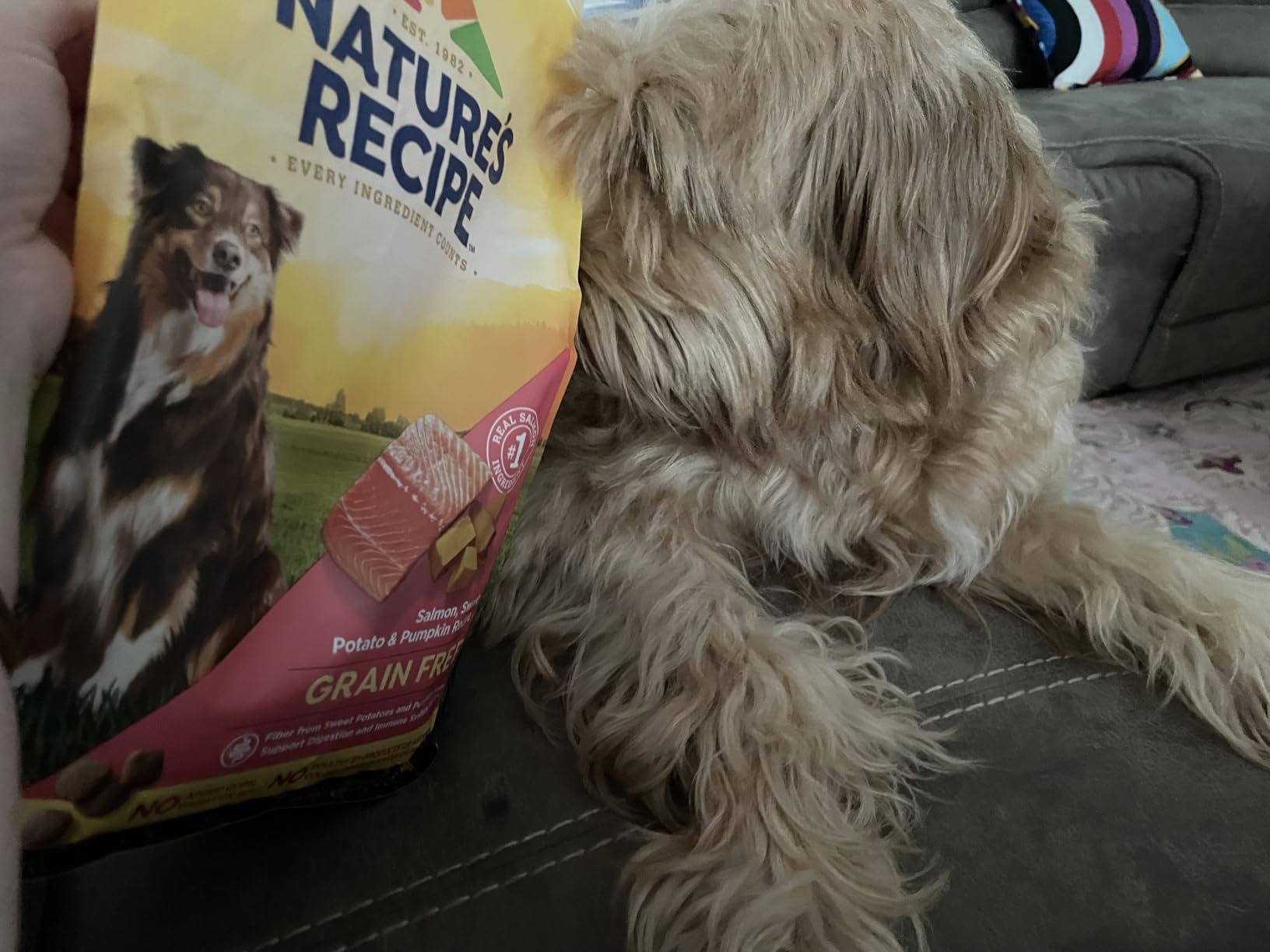 Nature's Recipe Grain Free Salmon Dry Dog Food, 4 lb. Bag customer photo 1