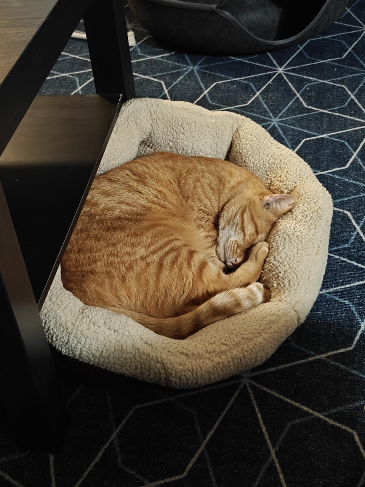 Petmate Aspen Pet Self Warming Round Bed, 19.5 Inches, Barn Red and Cream customer photo 1