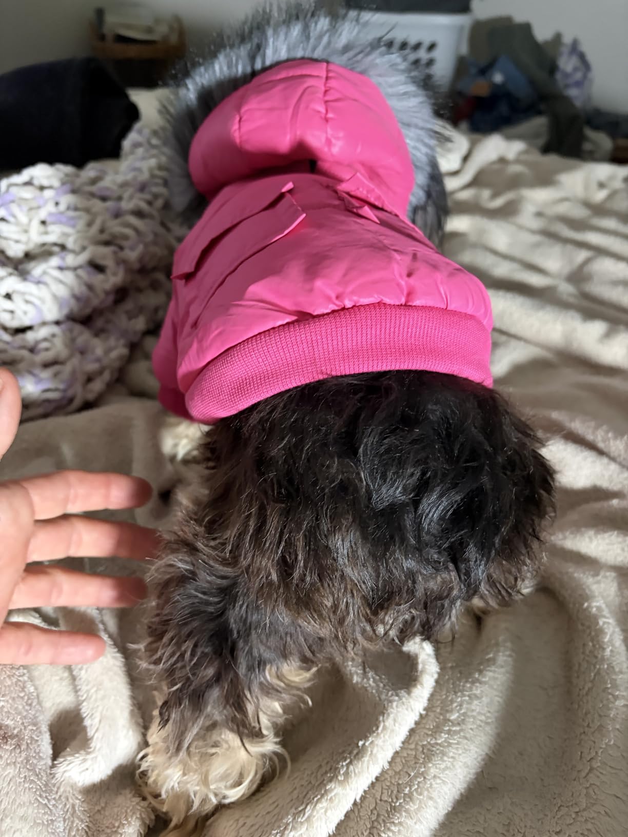LESYPET Dog Coat for Small Dogs, Windproof Doggie Puffer Jacket with Leash Hole, Extra Warm Dog Jacket Winter Coat, Pink S customer photo 2