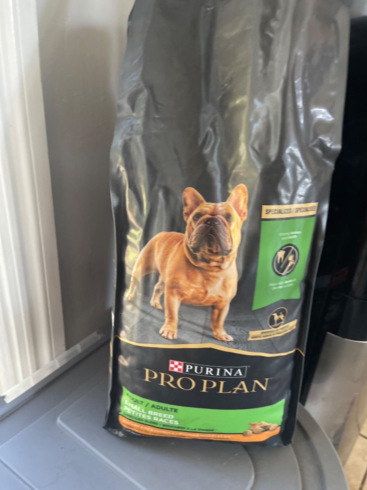 Purina Pro Plan Small Breed Dry Dog Food, Shredded Blend, 6 lb Bag | Chicken & Rice Formula small dog food with probiotics for dogs, high protein to meet needs of active adult dogs under 20 lbs customer photo 1