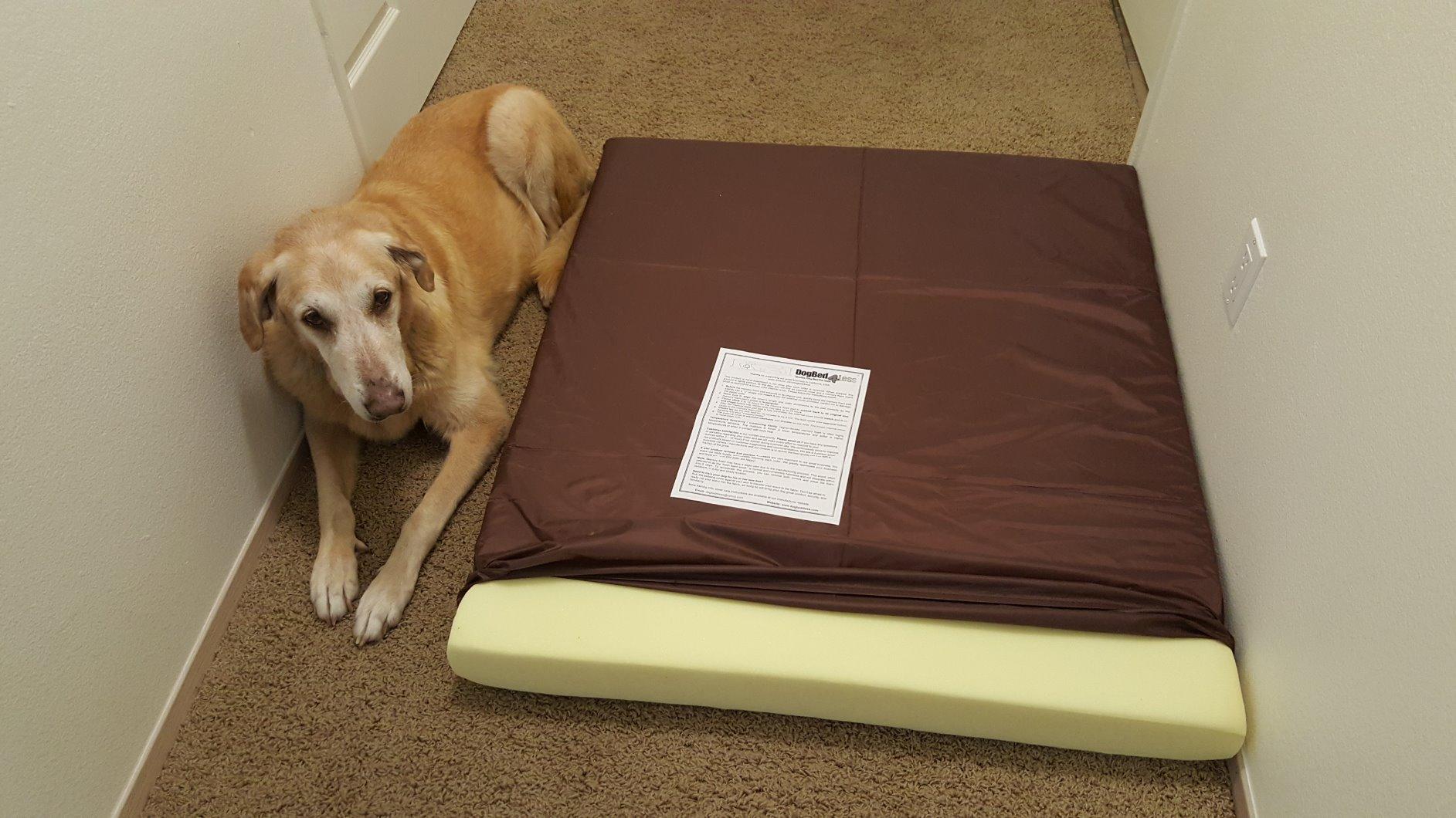 Dogbed4less Large Orthopedic Memory Foam Dog Bed for Medium to Large Dogs with Durable Waterproof Internal Case, Removable Washable Denim Cover + Bonus Pet Bed Cover, 41X27X4 Fit 42X28 Dog Crate, Blue customer photo 1
