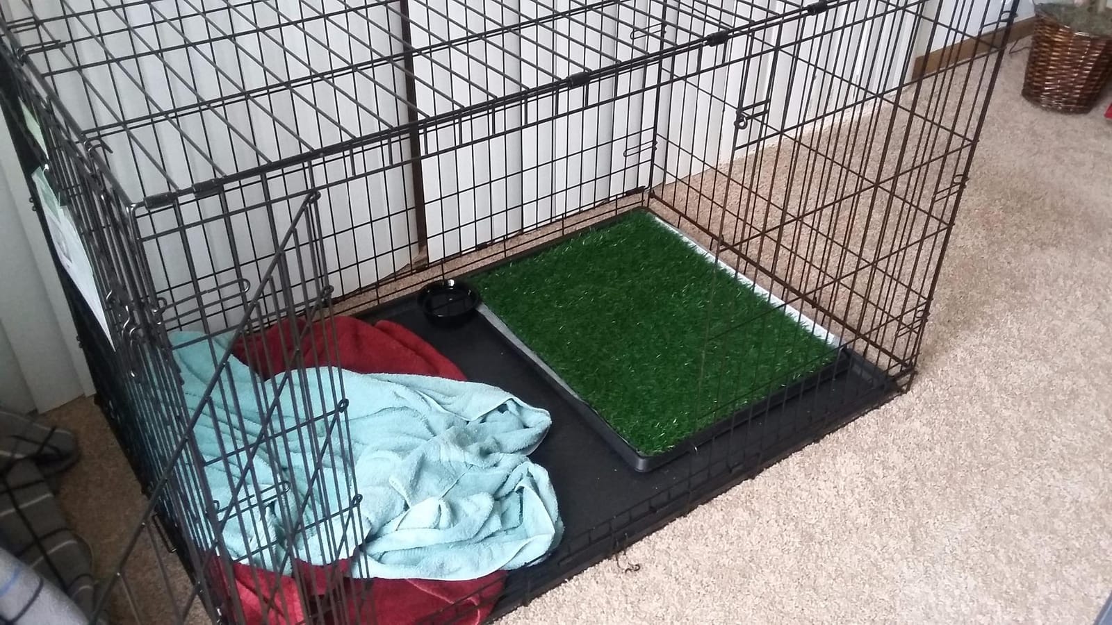 Artificial Grass Puppy Pee Pad for Dogs and Small Pets - 20x25 Inch, Reusable 3-Layer Turf Pads for Dogs with Tray - Indoor and Outdoor Fake Grass Potty Pet Supplies by PETMAKER customer photo 2