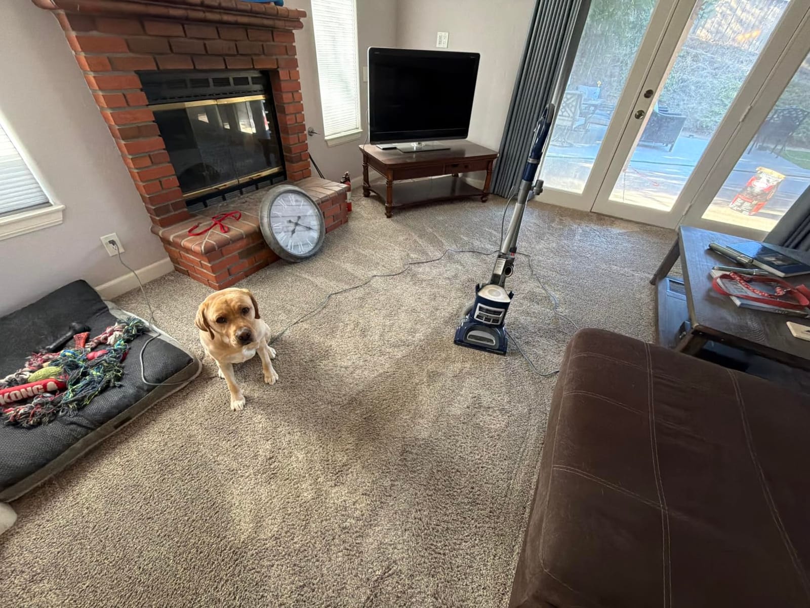 Shark Navigator Lift-Away Vacuum, HEPA, Carpet and Pet Hair, Blue, NV360 customer photo 1