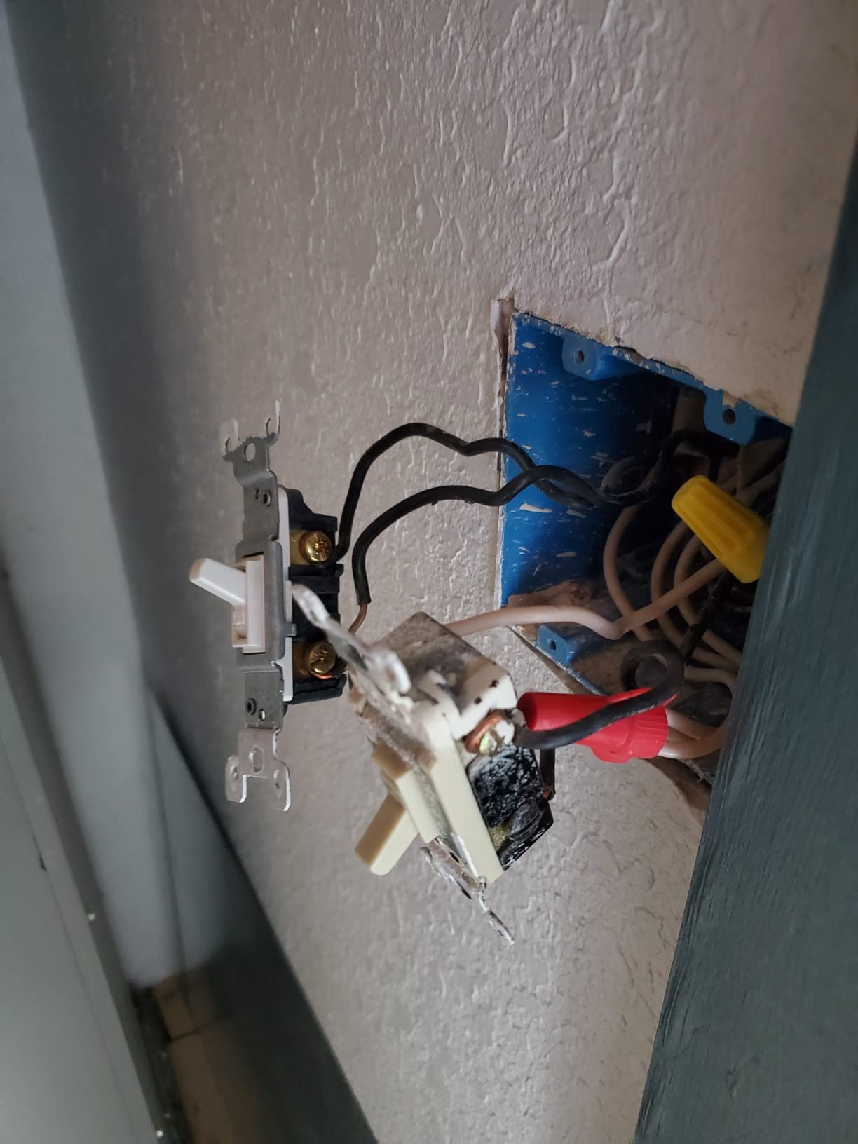 Lutron Caseta Smart Dimmer Switch (Smart Hub Required), No Neutral Required customer photo 1