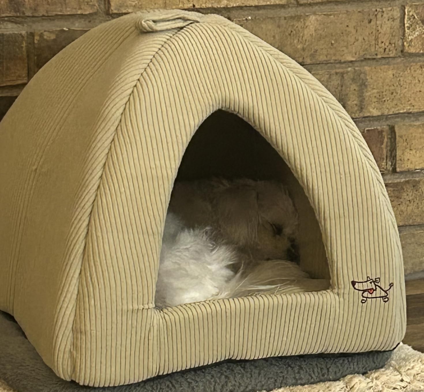 Best Pet Supplies Cat Bed for Indoor Cat, Domed Tent House with Removable Pillow, Covered Cat Cave for Small Dog, Puppies and All Breeds of Cats - Corduroy Beige, 16 x 16 x H:14