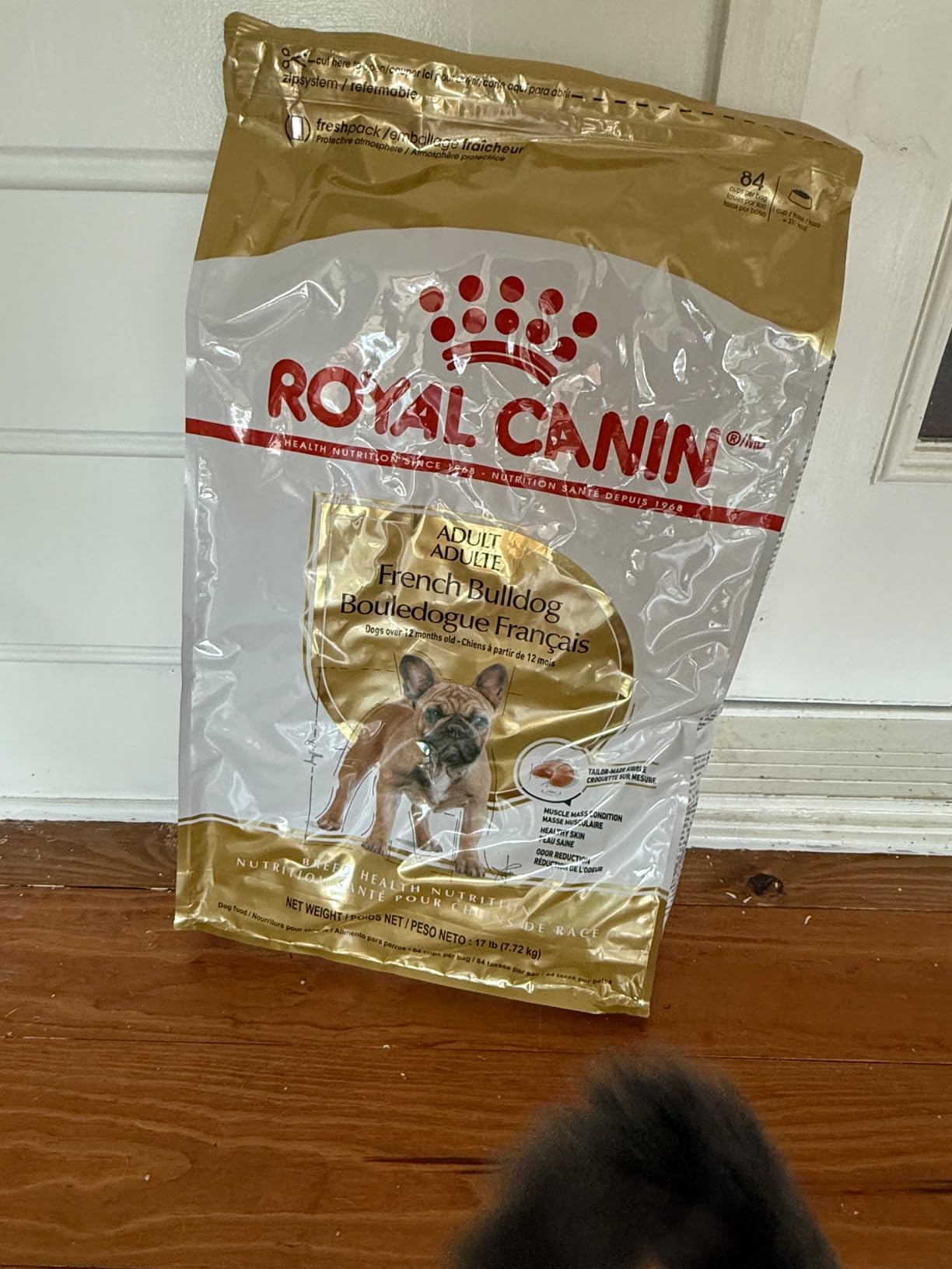 ROYAL CANIN French Bulldog Adult Dry Dog Food, 6 lb Bag customer photo 1