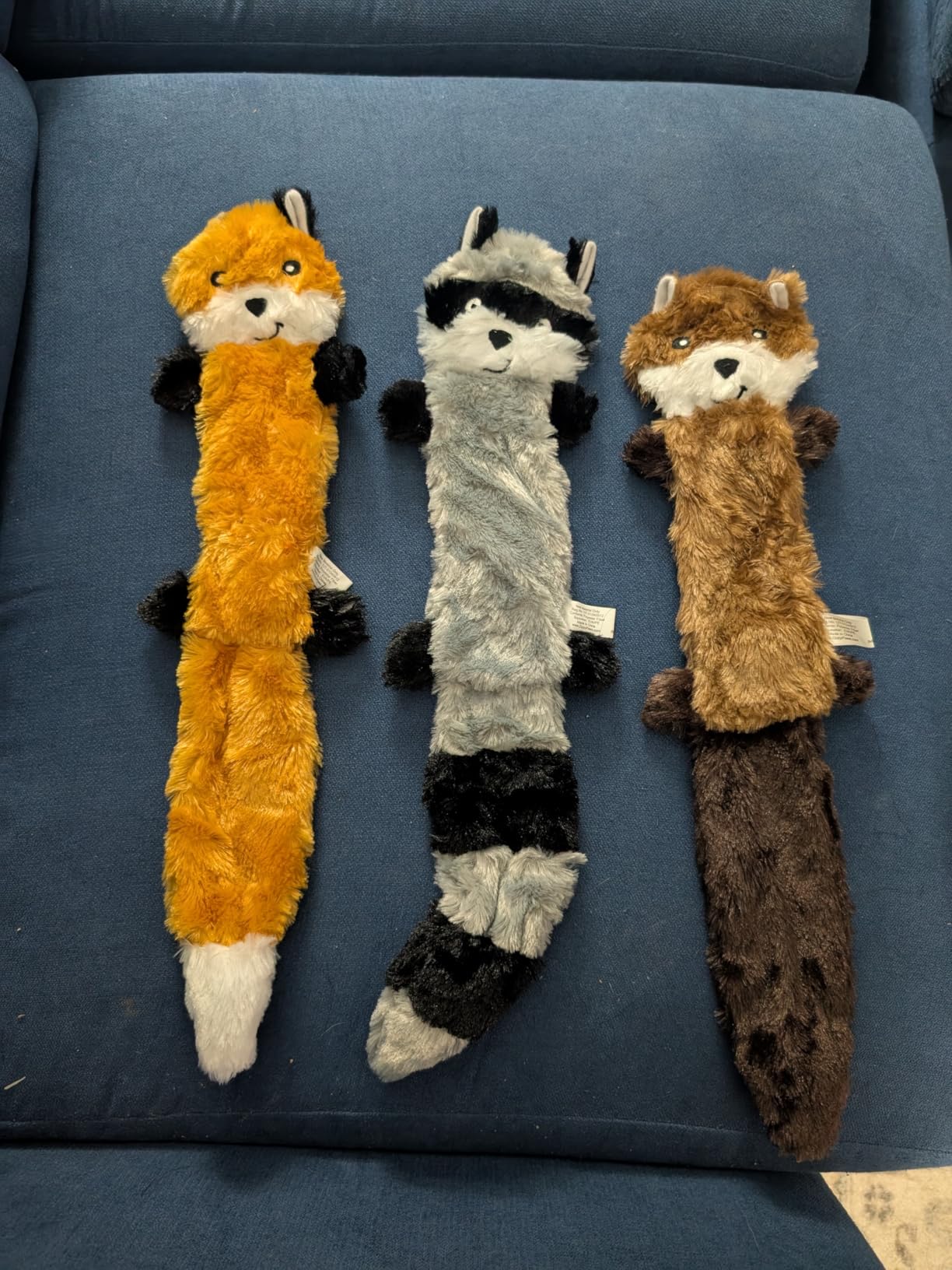 ZippyPaws Skinny Peltz No Stuffing Dog Toy Pack to Keep Them Busy - 18