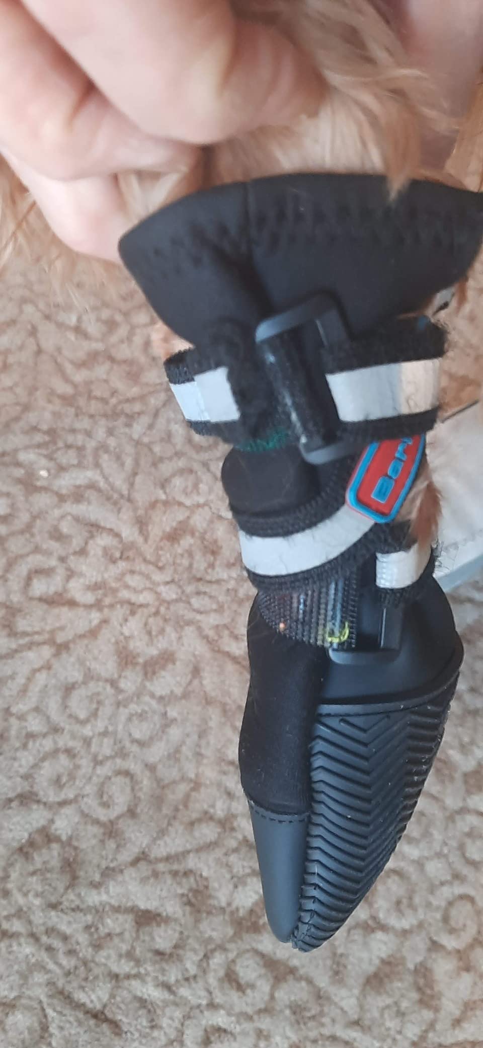 All Weather Neoprene Paw Protector Dog Boots with Reflective Straps in 5 Sizes! (XXL (4.5x4.5 in.)) customer photo 1