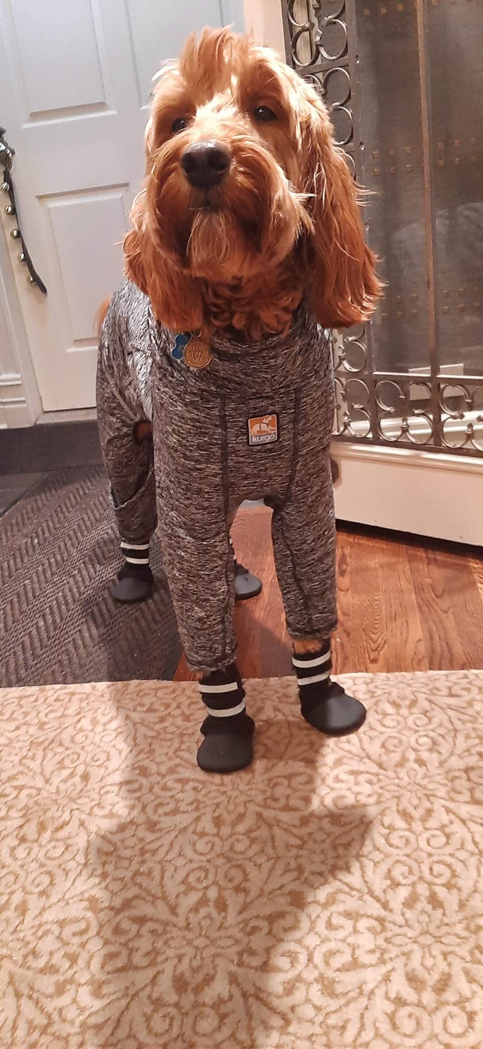 All Weather Neoprene Paw Protector Dog Boots with Reflective Straps in 5 Sizes! (XXL (4.5x4.5 in.)) customer photo 2