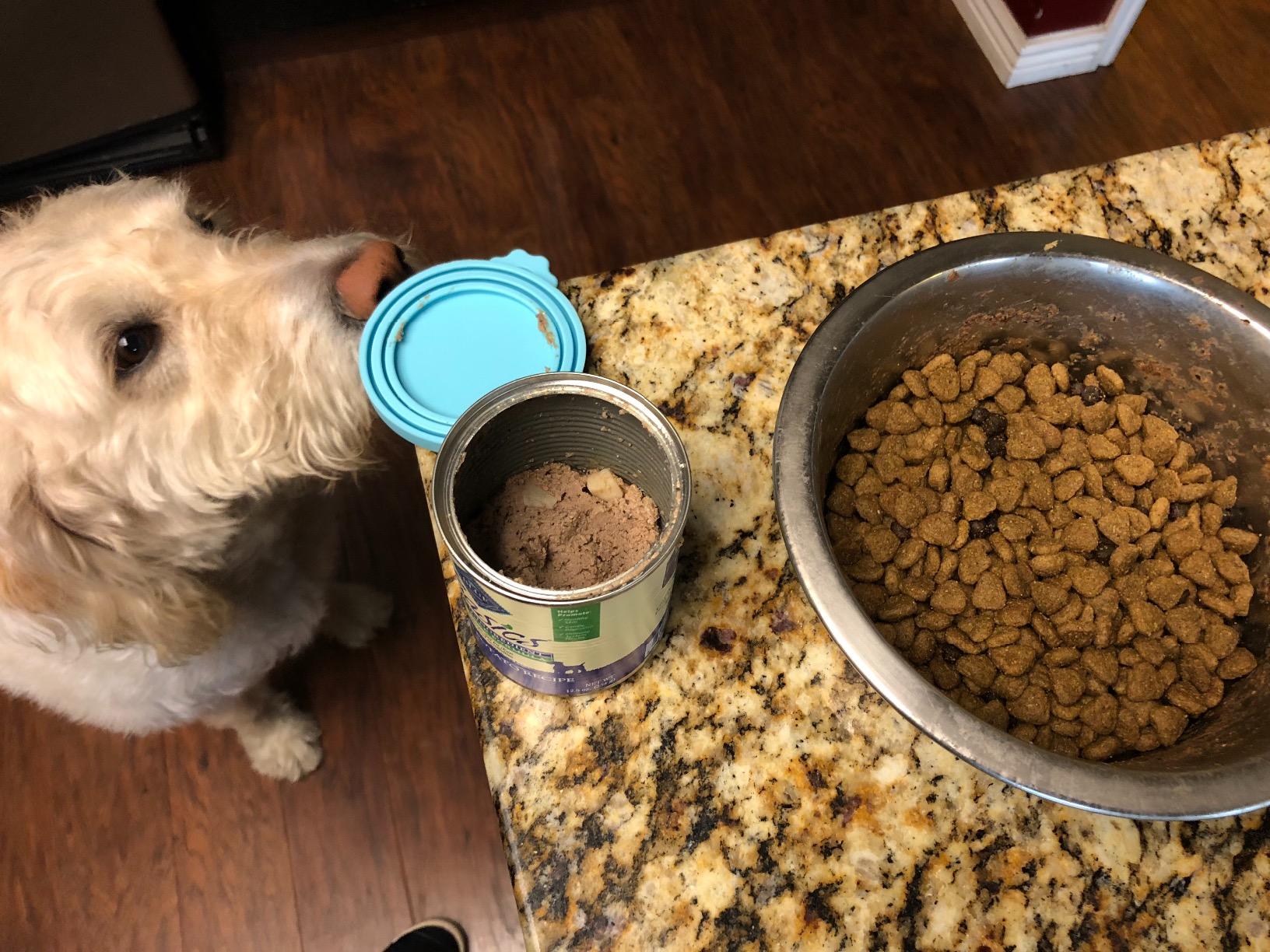 Blue Buffalo Basics Salmon Adult Skin & Stomach Care Dry Dog Food, 24 lb | Real Salmon #1 Ingredient, Limited Ingredient Diet, Antioxidant-Rich LifeSource Bits, Skin & Coat Health customer photo 2
