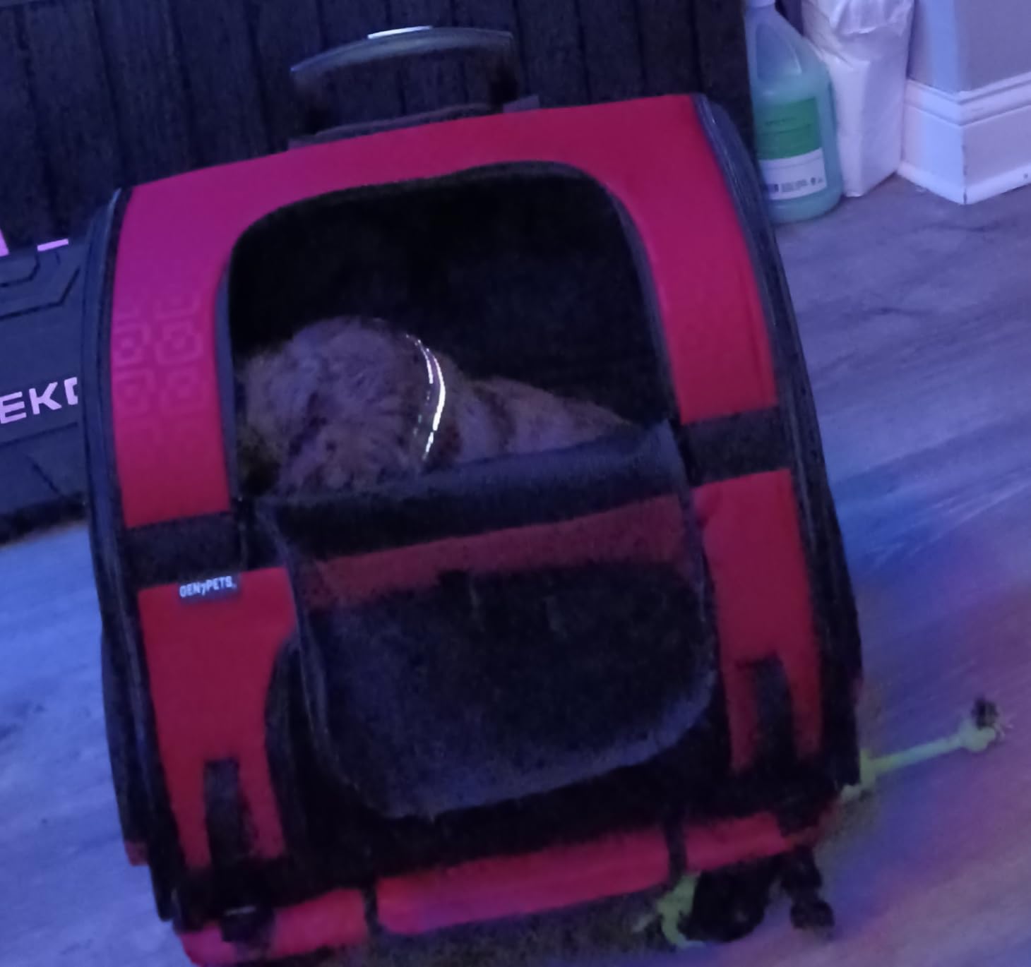 Gen7Pets Dog Carrier - Large Red Roller Bag Pet Carrier customer photo 2