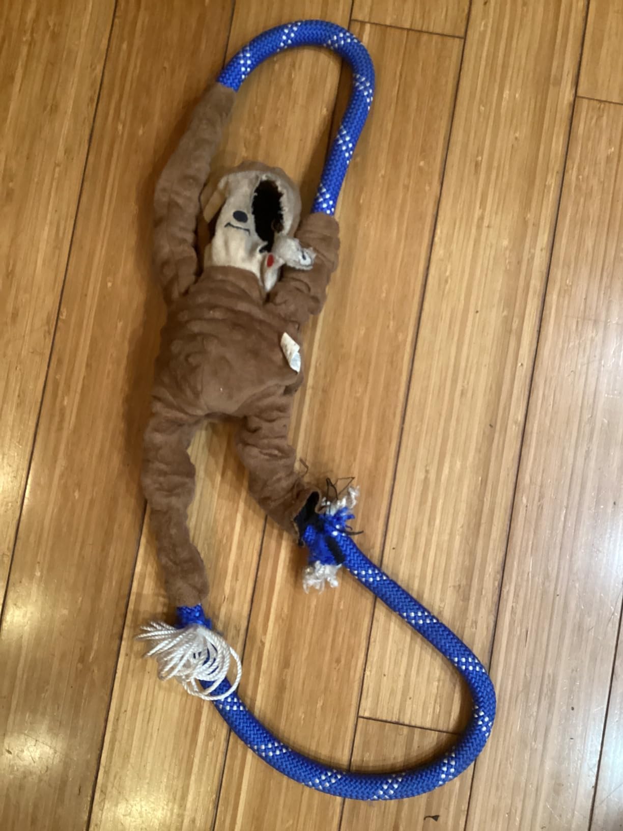 ZippyPaws RopeTugz Durable Dog Pull Rope Toy - Blue Monkey customer photo 2