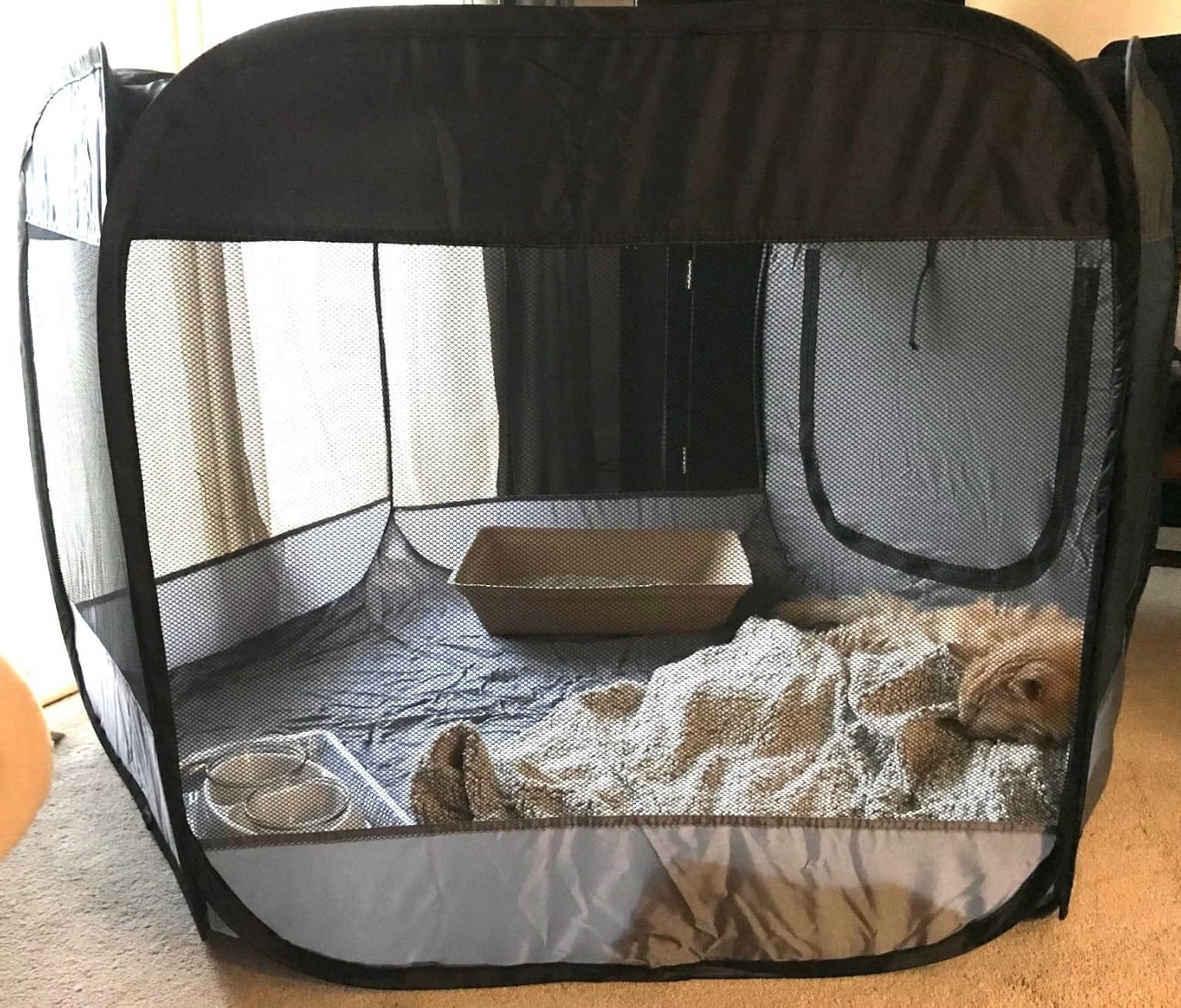 FurHaven Soft-Sided Dog & Cat Playpen, Portable Foldable Indoor & Outdoor Pet Playpen with Mesh Windows & Zippered Door, Gray, Small customer photo 1