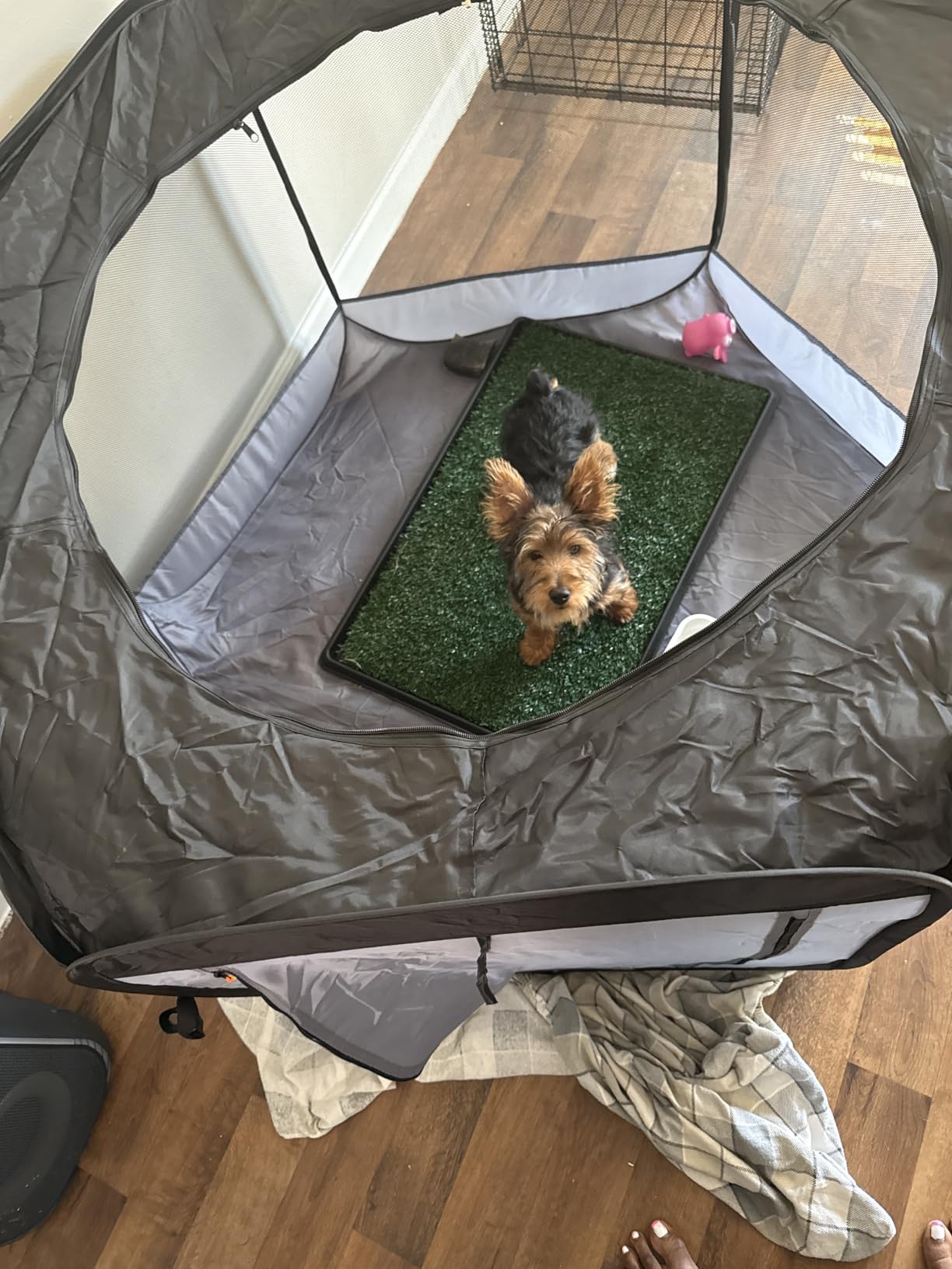 FurHaven Soft-Sided Dog & Cat Playpen, Portable Foldable Indoor & Outdoor Pet Playpen with Mesh Windows & Zippered Door, Gray, Small customer photo 2
