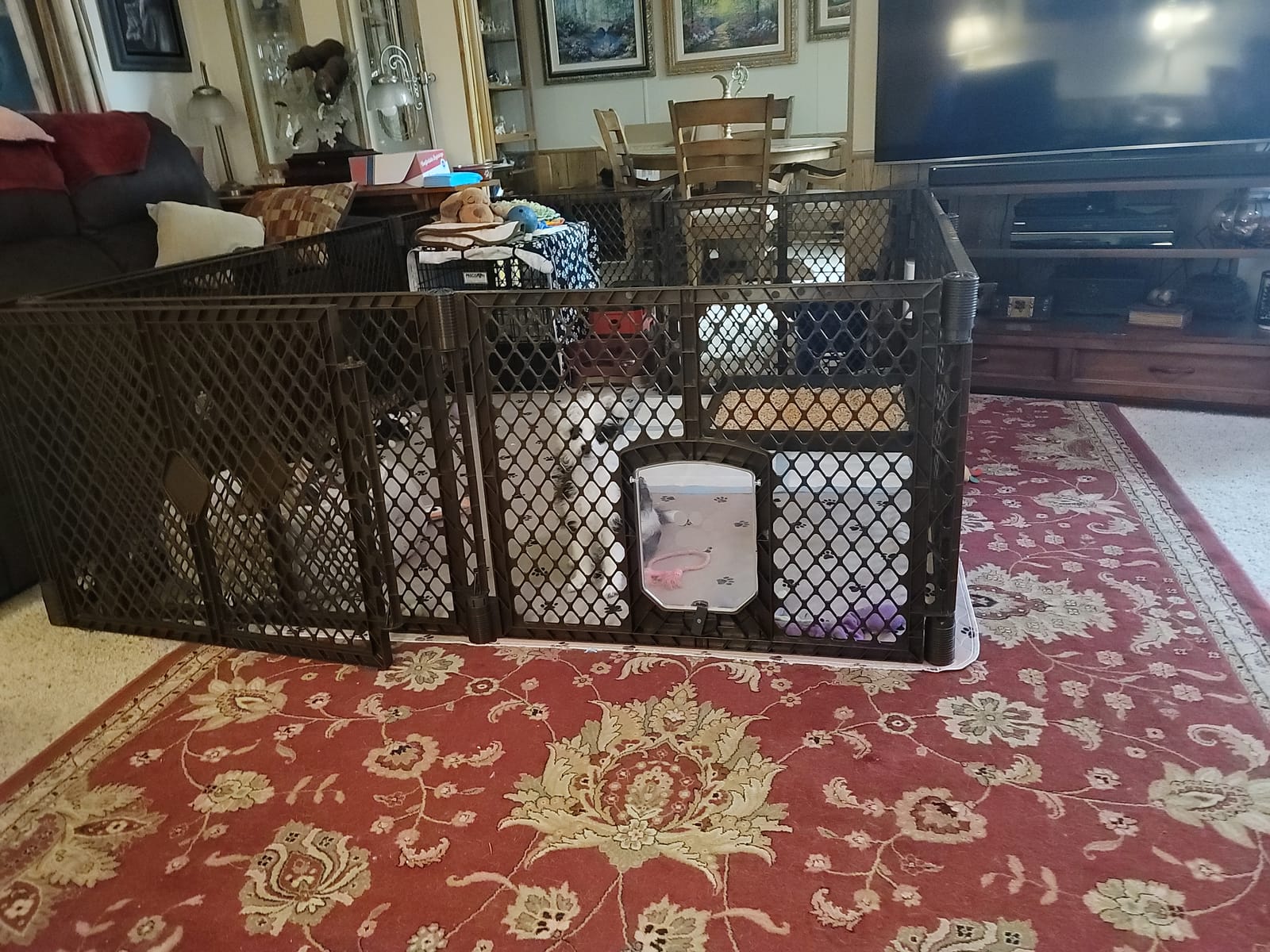 MyPet North States Petyard Passage: 4-Panel Folding Dog Playpen Indoor or Outdoor. 7 sq. ft. Puppy Playpen, Lockable Pet Door. Freestanding Play Pen Dog Gate. Made in USA. 26