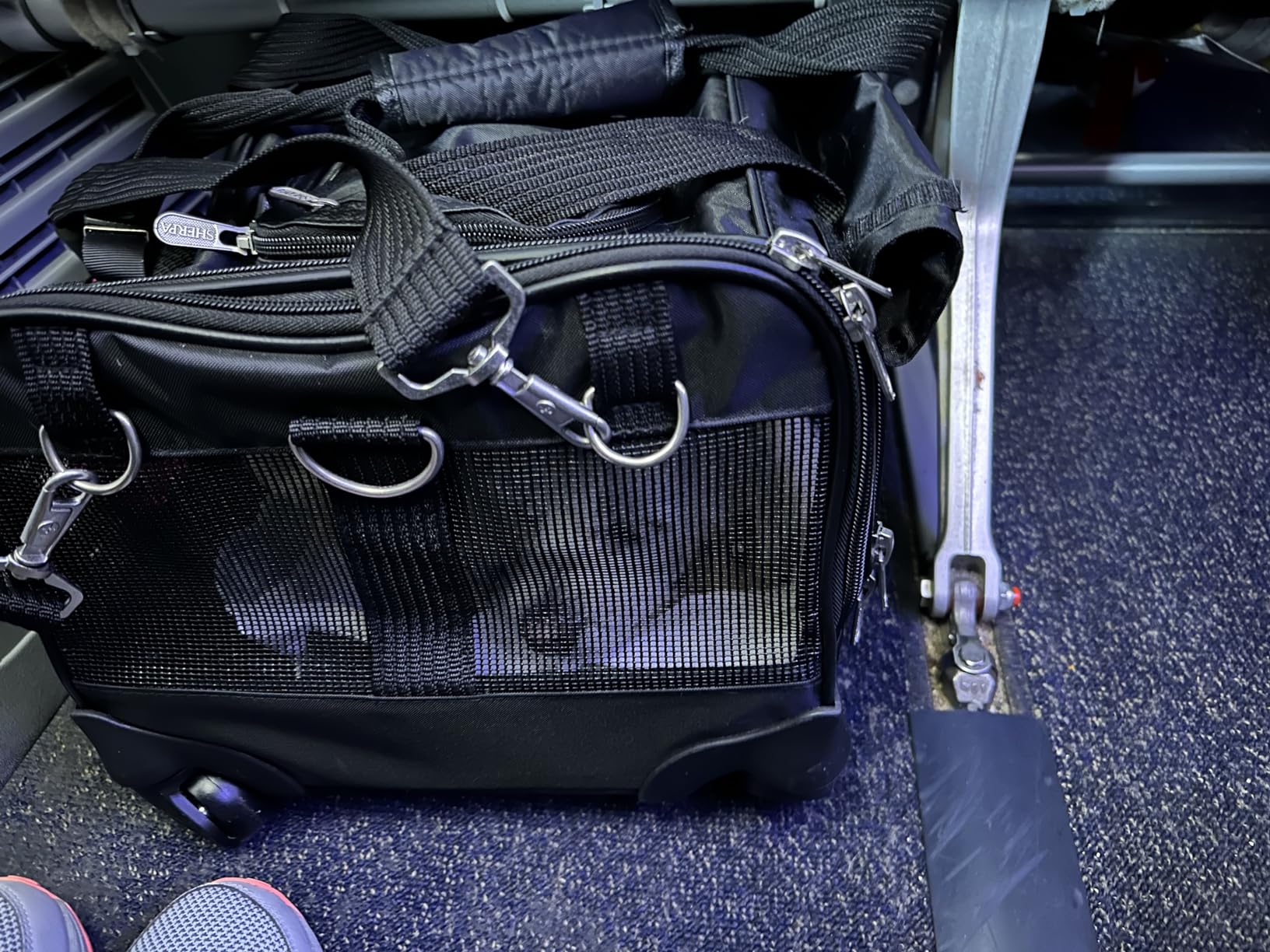 Sherpa on Wheels Indoor Pet Dog Carrier, Black Large for All Breed Sizes customer photo 1