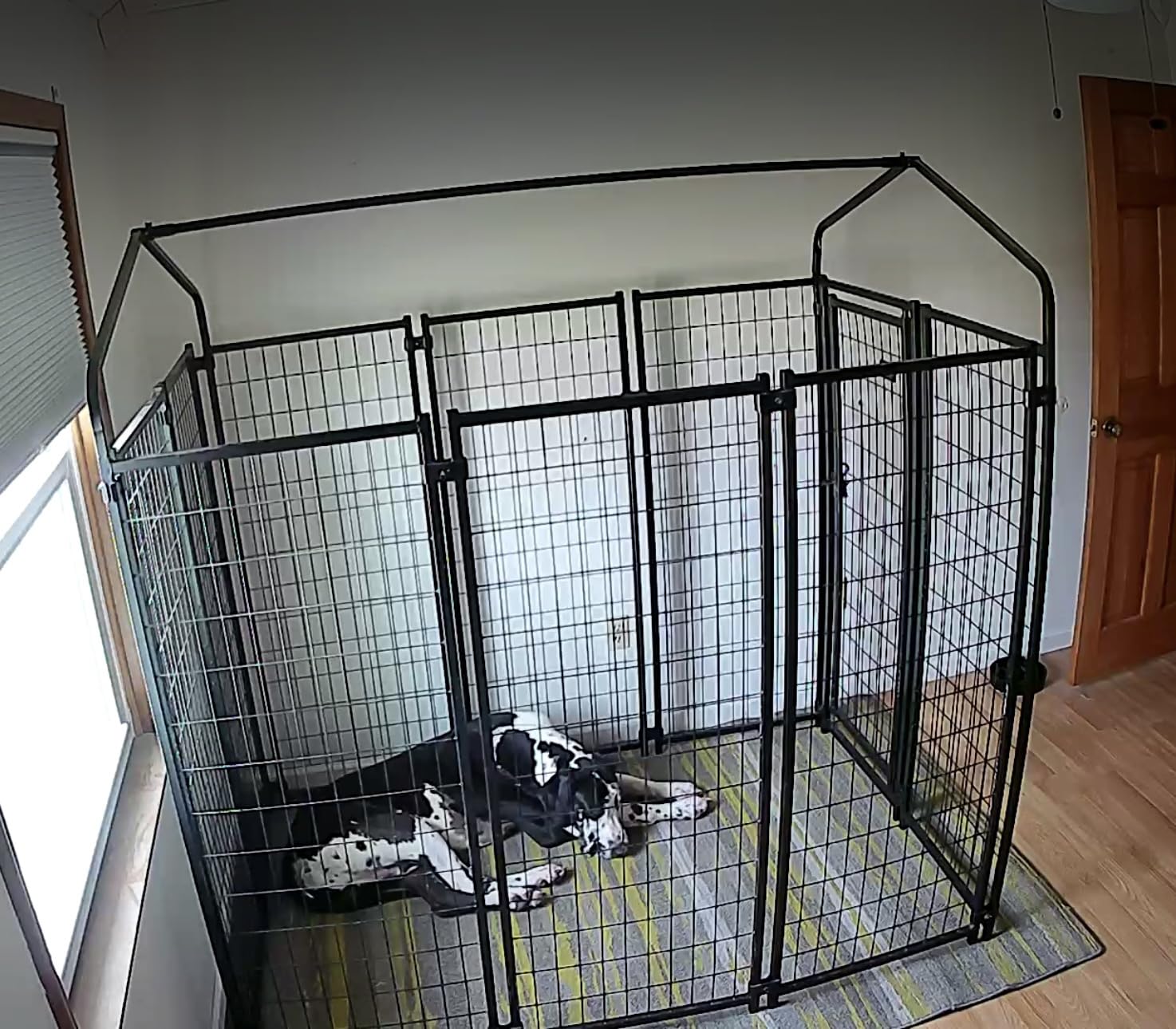 PawHut Outdoor Dog Kennel with Roof for Medium Dogs 8' x 4' x 6' Silver customer photo 1