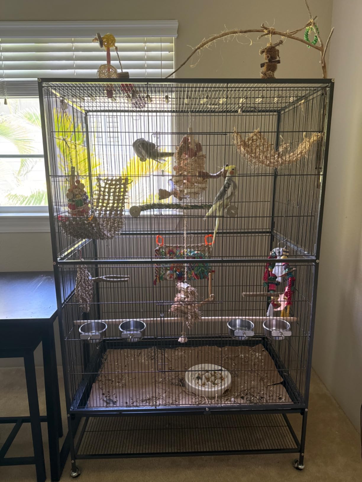 Prevue Pet Products Wrought Iron Bird Flight Cage w/Wheels- L, Chalk White customer photo 1