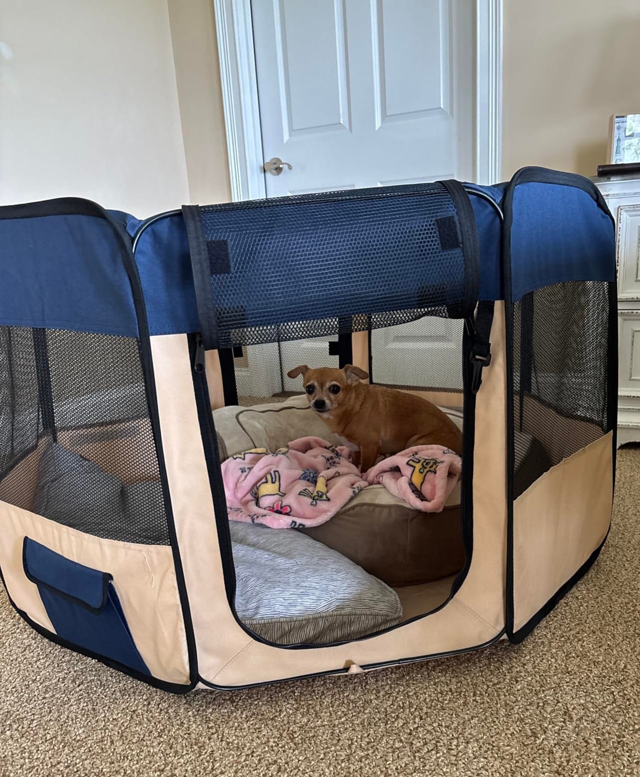 EliteField 2-Door Soft Pet Playpen for Dogs and Cats (2-Year Warranty) customer photo 1