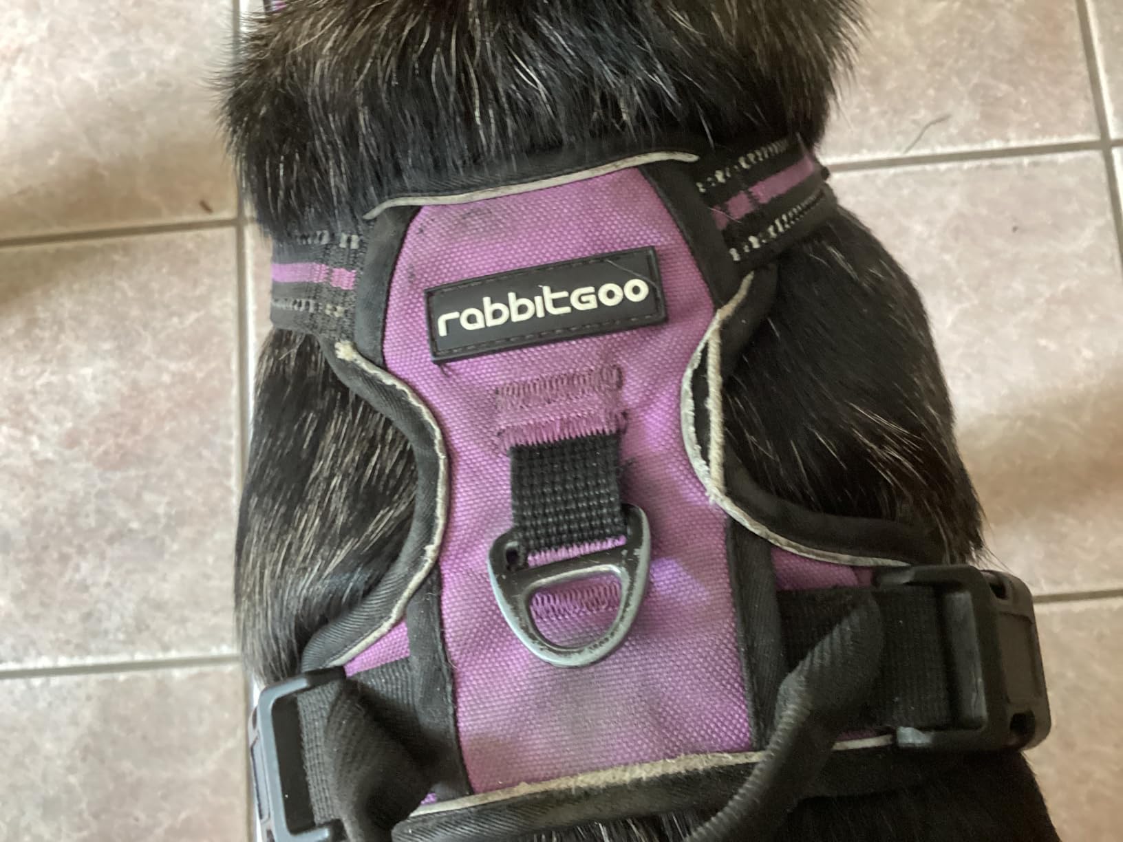 rabbitgoo Dog Harness, No Pull for Large Dogs with 2 Leash Clips, Pet Vest customer photo 2