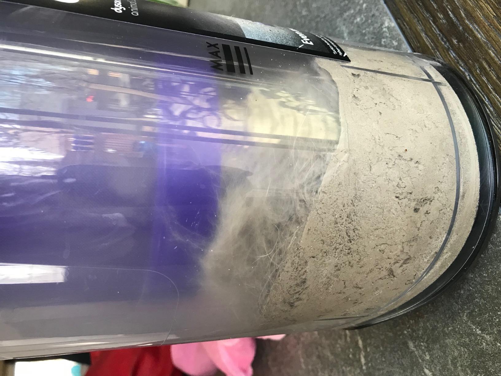 Dyson Upright Vacuum Cleaner, Ball Animal 2, Iron/Purple customer photo 1