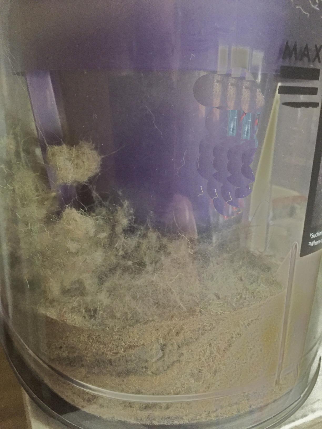 Dyson Upright Vacuum Cleaner, Ball Animal 2, Iron/Purple customer photo 2