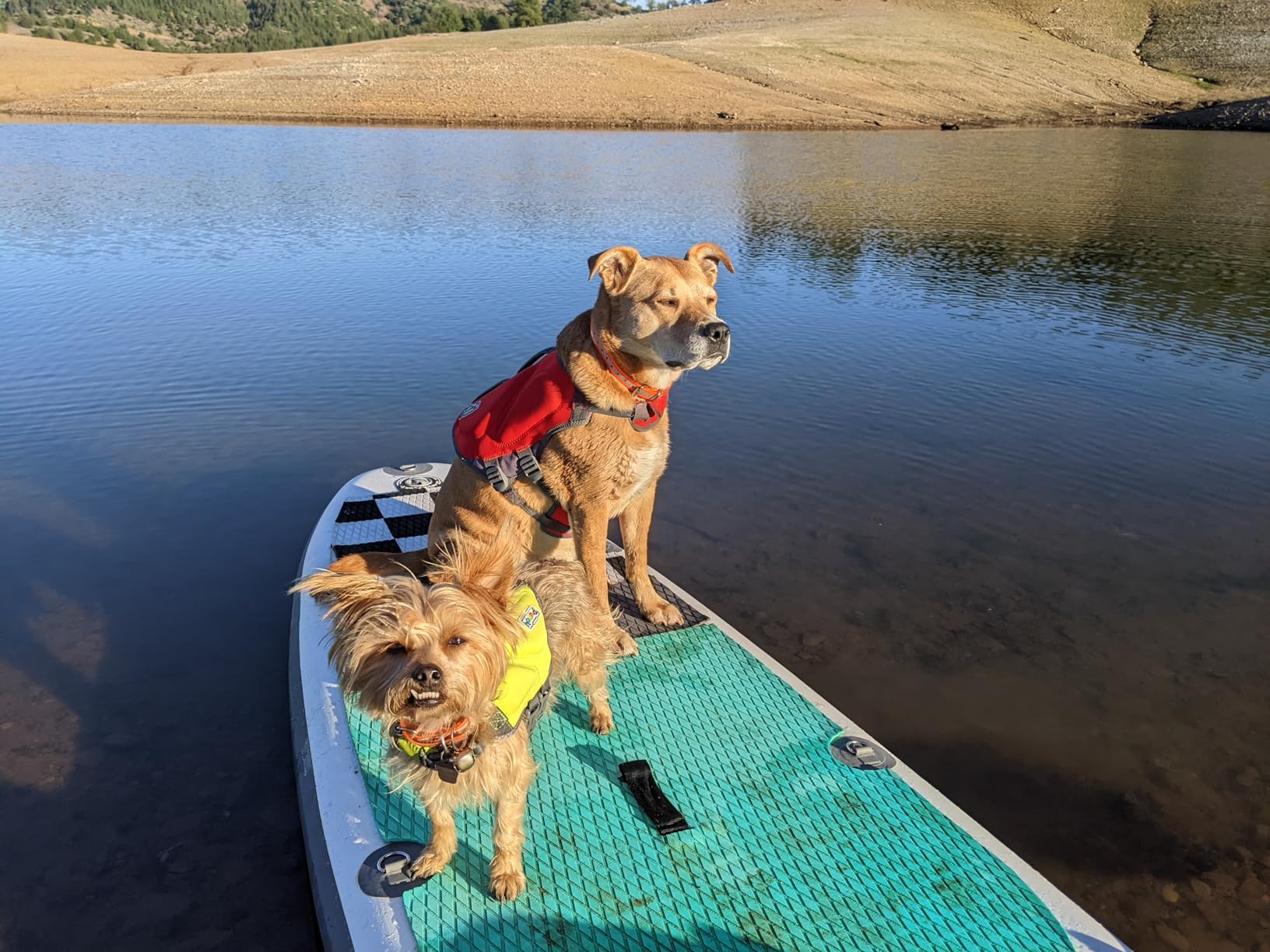 Outward Hound Dawson Swim Dog Life Jacket, Life Vest, Red, Large customer photo 1