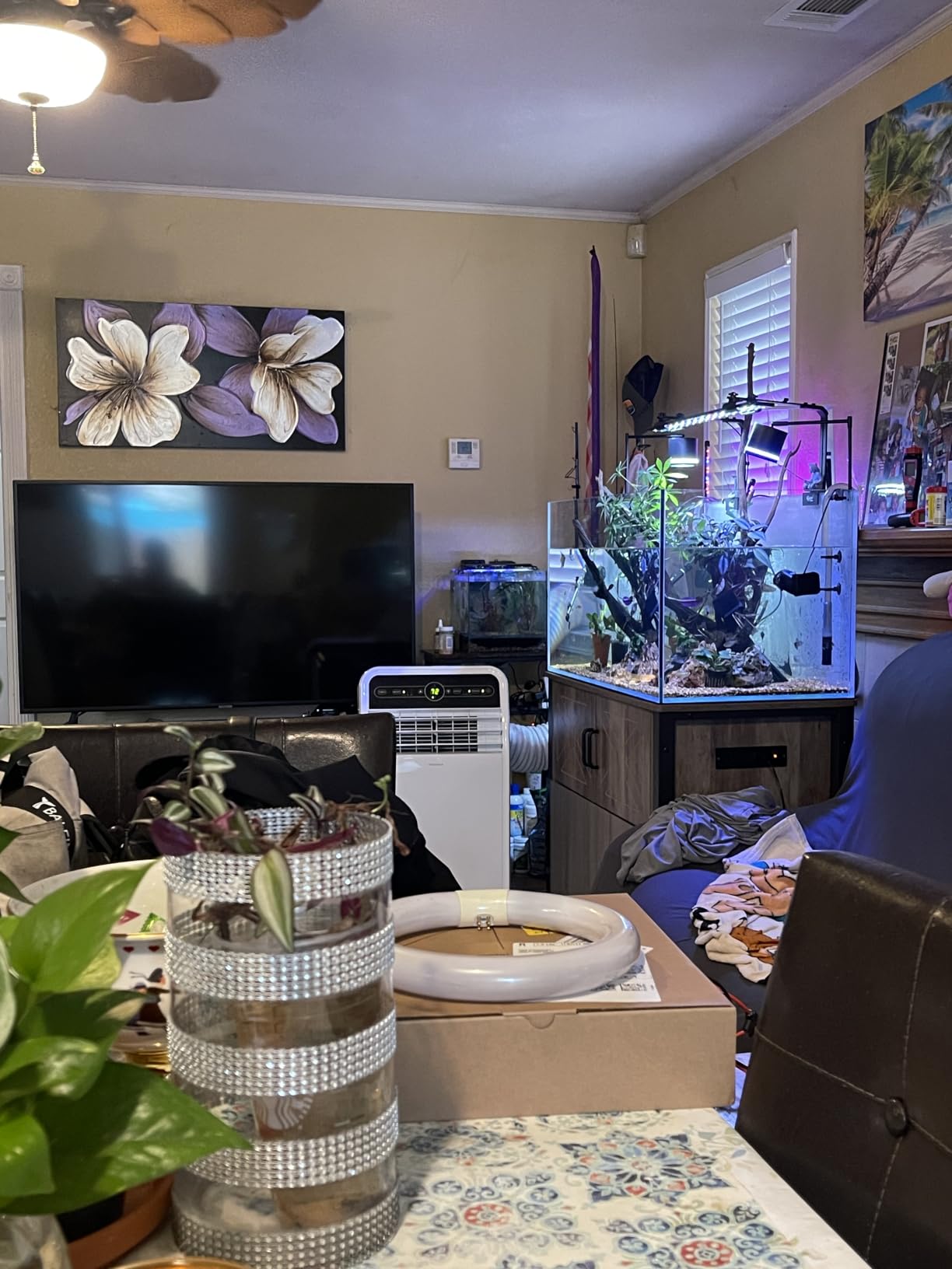 LANDEN Aquarium 100P 50 Gallon Ultra Clear Glass Rimless Fish Tank customer photo 1
