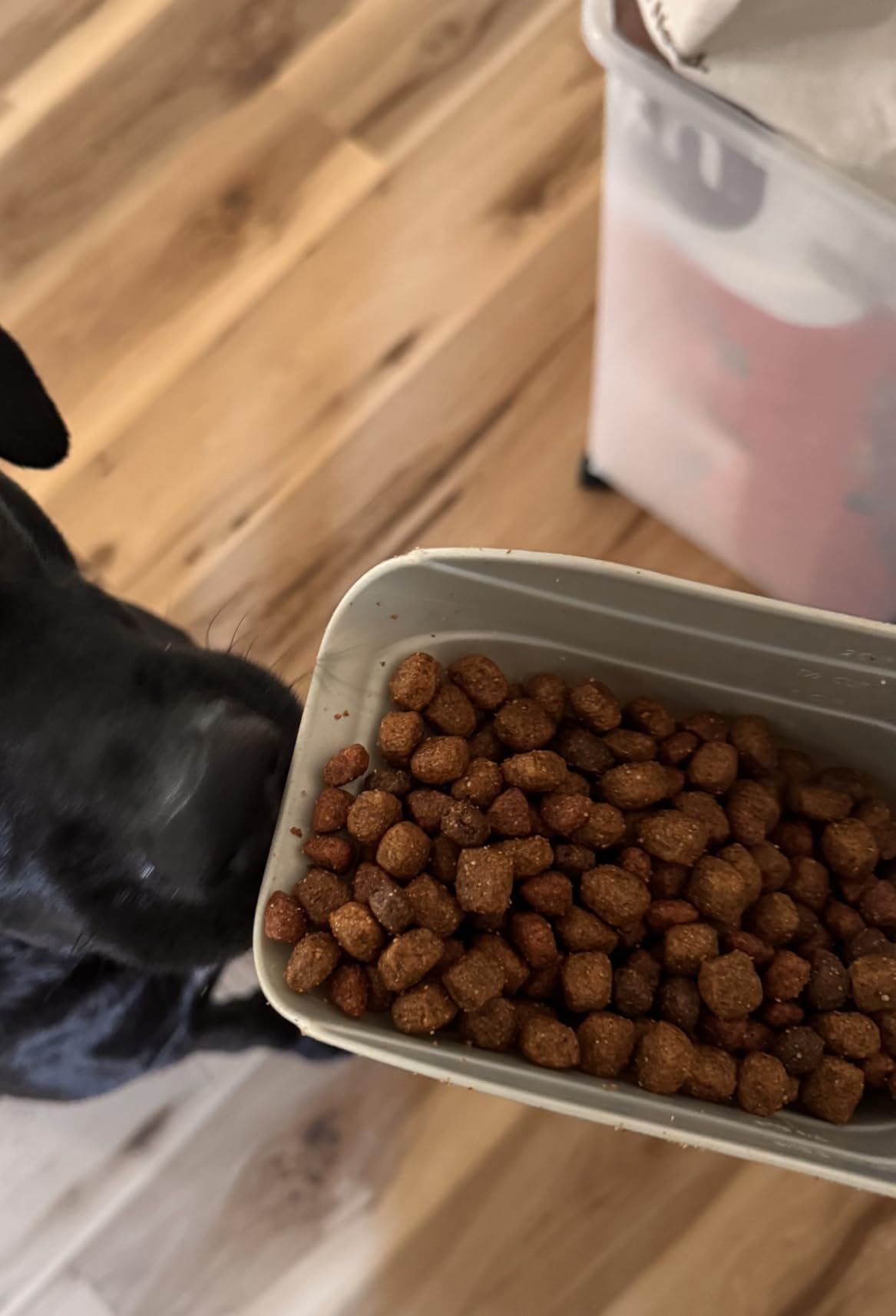 Nutrish Dry Dog Food, Beef, Pea & Brown Rice, 40 lb. Bag (Rachael Ray) customer photo 1