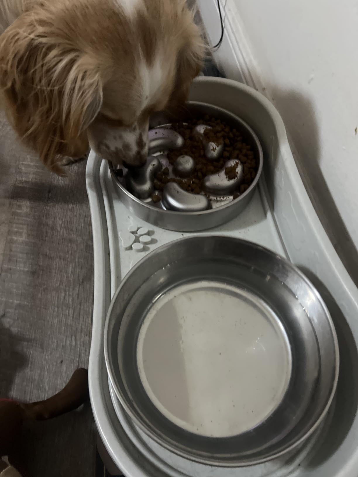 Elevated Pet Feeding Tray - 21″ x 11″ x 8.5″ Raised Dog Bowl Stand with Splash Guard and Non-Skid Feet - Comfortable Mealtime for Dogs and Cats by PETMAKER (Brown/Gray) customer photo 2