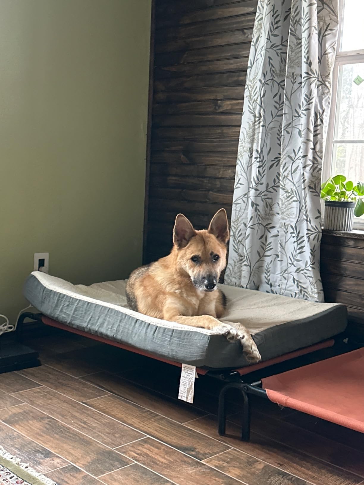PETMAKER Orthopedic Pet Bed – 2-Layer Memory Foam Dog Bed with Removable Sherpa Cover – Comes with Additional Mattress Replacement Cover (Gray) customer photo 1