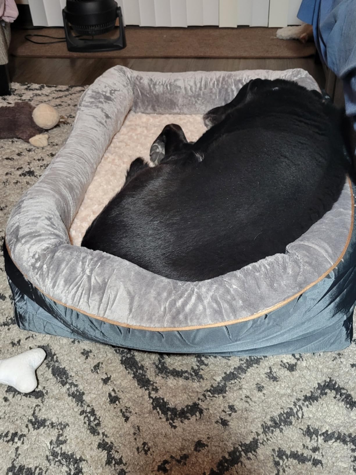 JOYELF Memory Foam Dog Bed Small Orthopedic Dog Bed & Sofa with Removable Washable Cover and Squeaker Toy as Gift customer photo 1