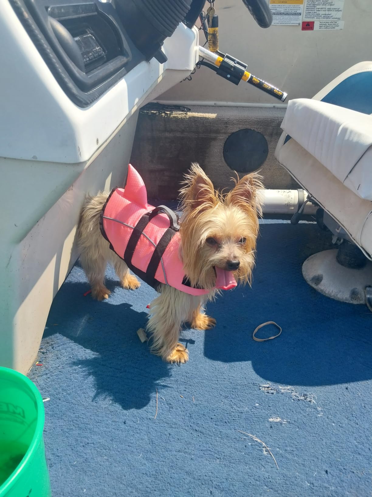 Ripstop Dog Life Jacket Shark Life Vest for Dogs, Safety Lifesaver with High Buoyancy and Lift Handle for Small and Medium Breeds(Rose Red XS) customer photo 1