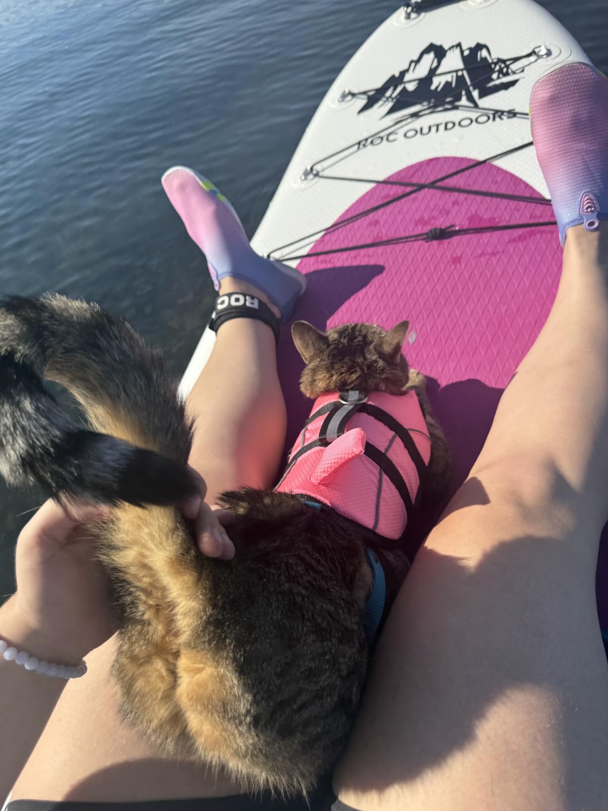 Ripstop Dog Life Jacket Shark Life Vest for Dogs, Safety Lifesaver with High Buoyancy and Lift Handle for Small and Medium Breeds(Rose Red XS) customer photo 2