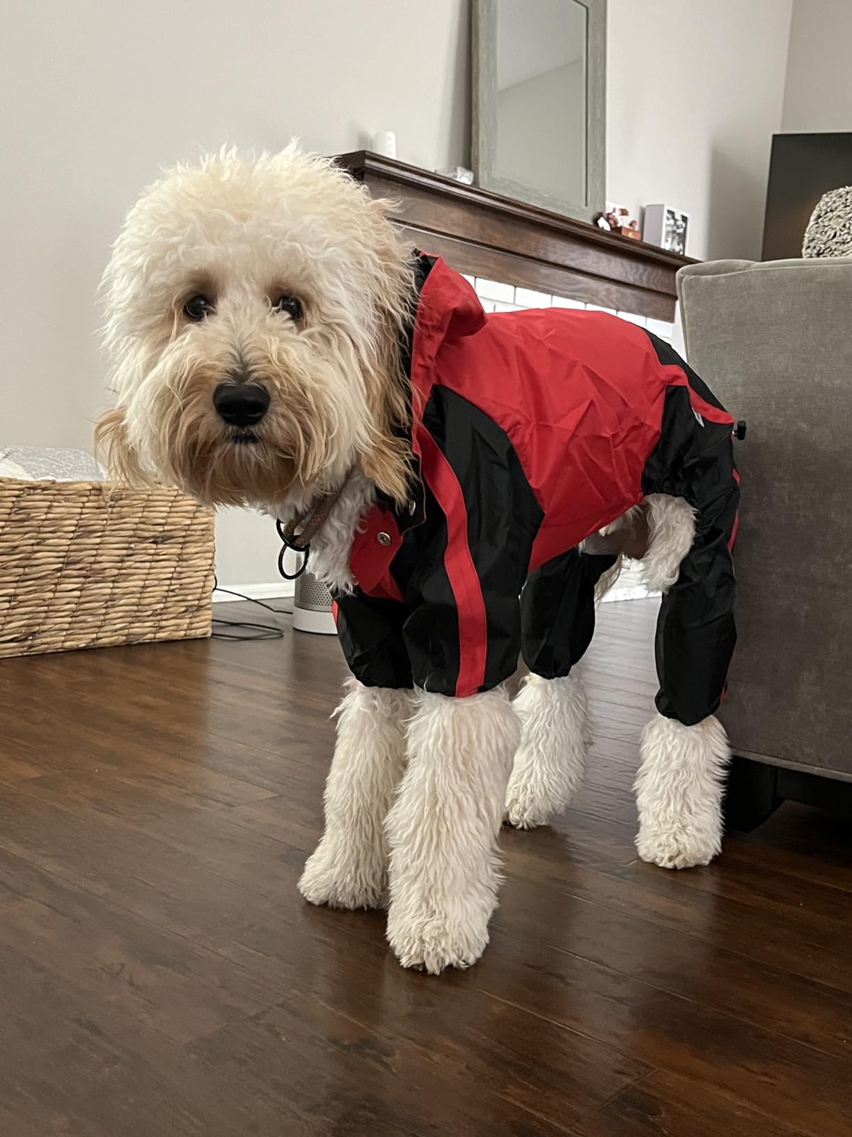 Lovelonglong Dog Hooded Raincoat, Small Dog Rain Jacket Poncho Waterproof Clothes with Hood Breathable 4 Feet Four Legs Rain Coats for Small Medium Large Pet Dogs Green L-S customer photo 1