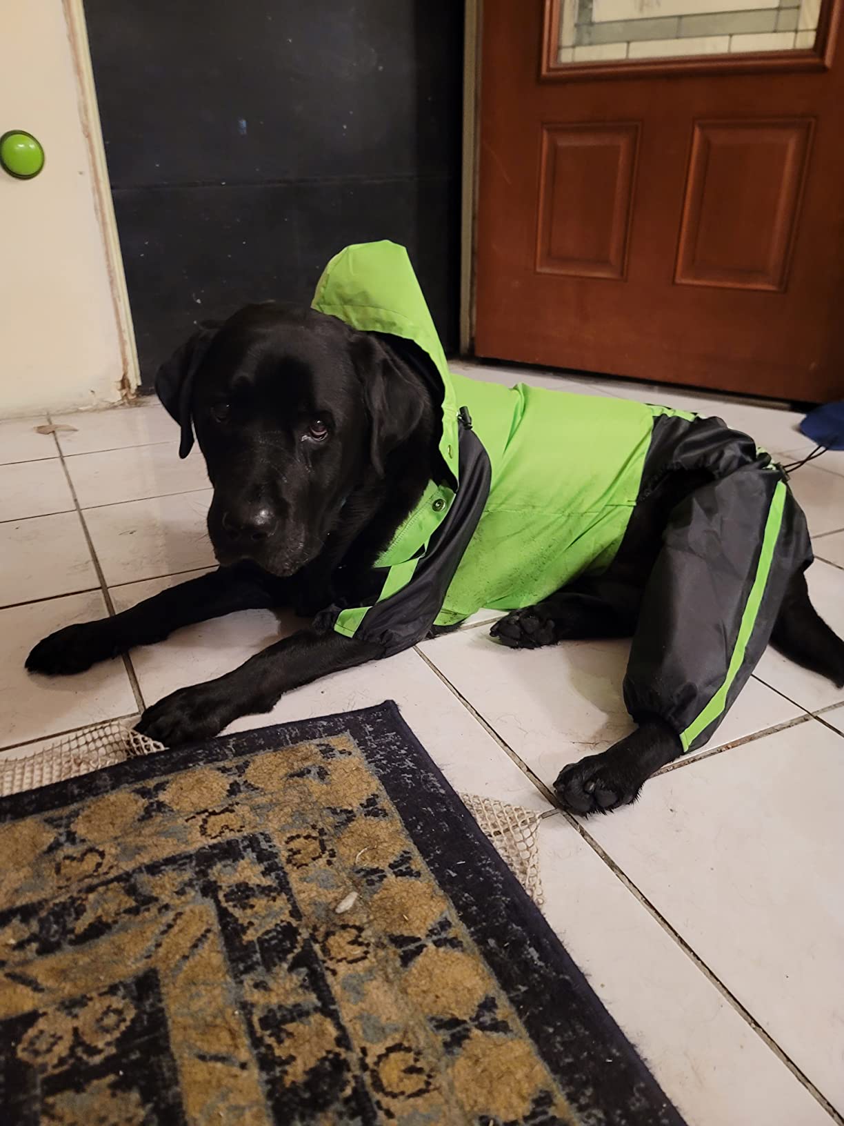 Lovelonglong Dog Hooded Raincoat, Small Dog Rain Jacket Poncho Waterproof Clothes with Hood Breathable 4 Feet Four Legs Rain Coats for Small Medium Large Pet Dogs Green L-S customer photo 2