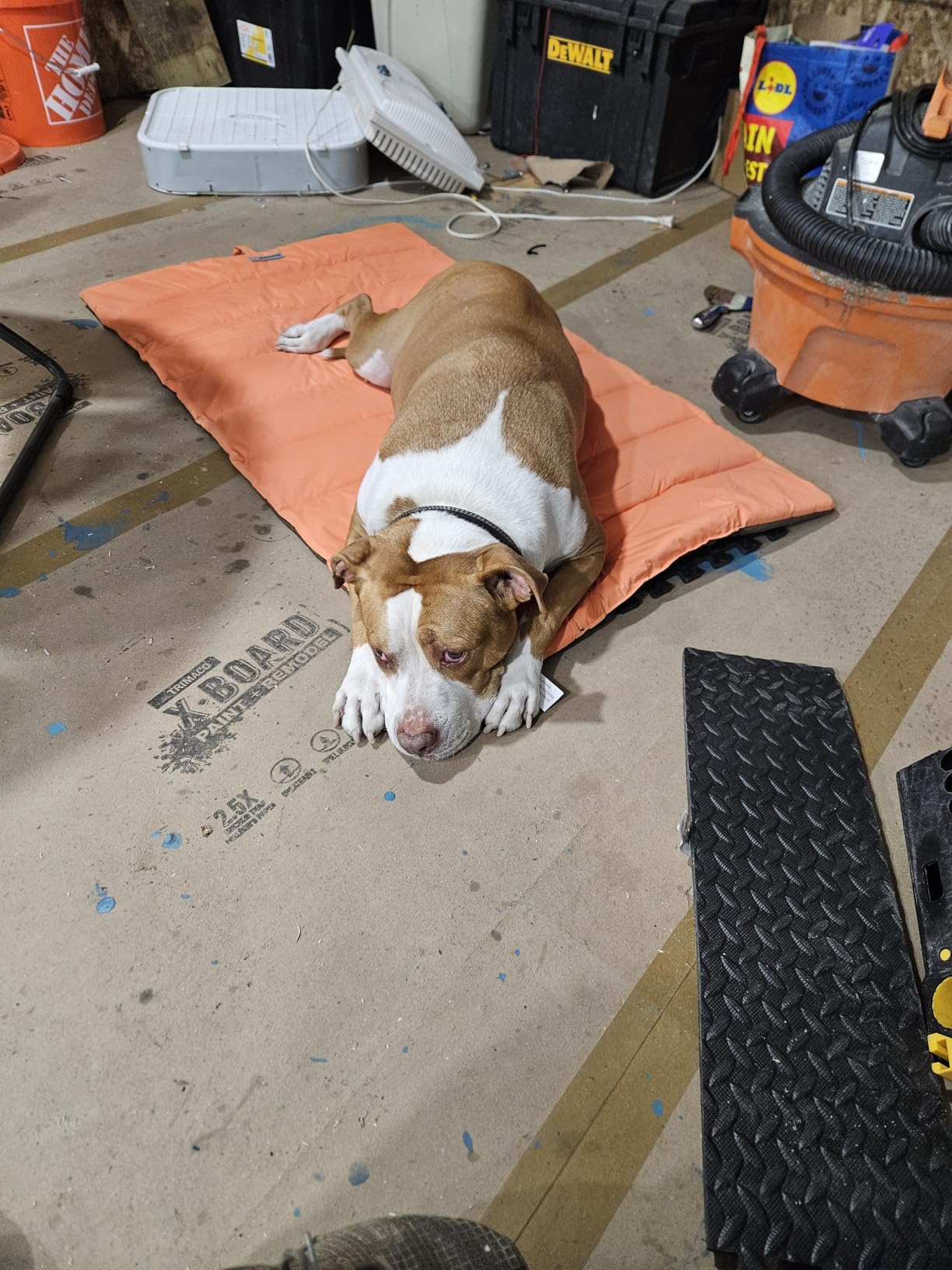 CHEERHUNTING Outdoor Dog Bed, Waterproof, Washable, Large Size, Durable, Water Resistant, Portable and Camping Travel Pet Mat customer photo 2