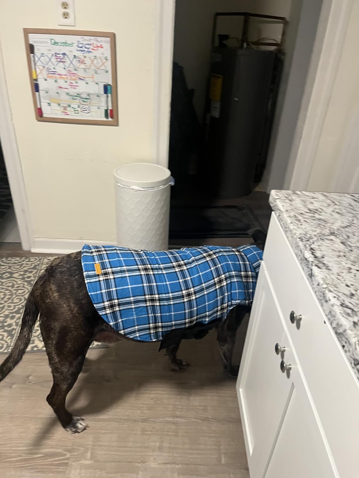 Kuoser Waterproof Dog Coat, Warm Reversible Dog Jacket with Leash Hole | Soft Cozy Dog Cold Weather Coats for Rainy Snow Days, Lightweight Jacket for Small Dogs, Xmas Dogs Snowsuit Blue S customer photo 1