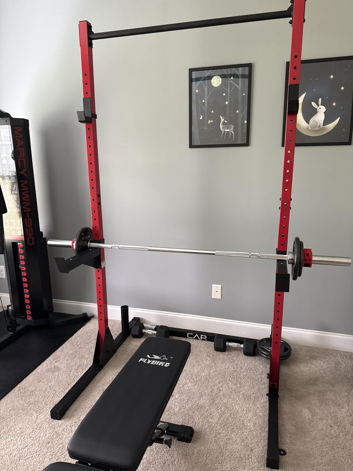 CAP Barbell Power Racks and Attachments customer photo 2