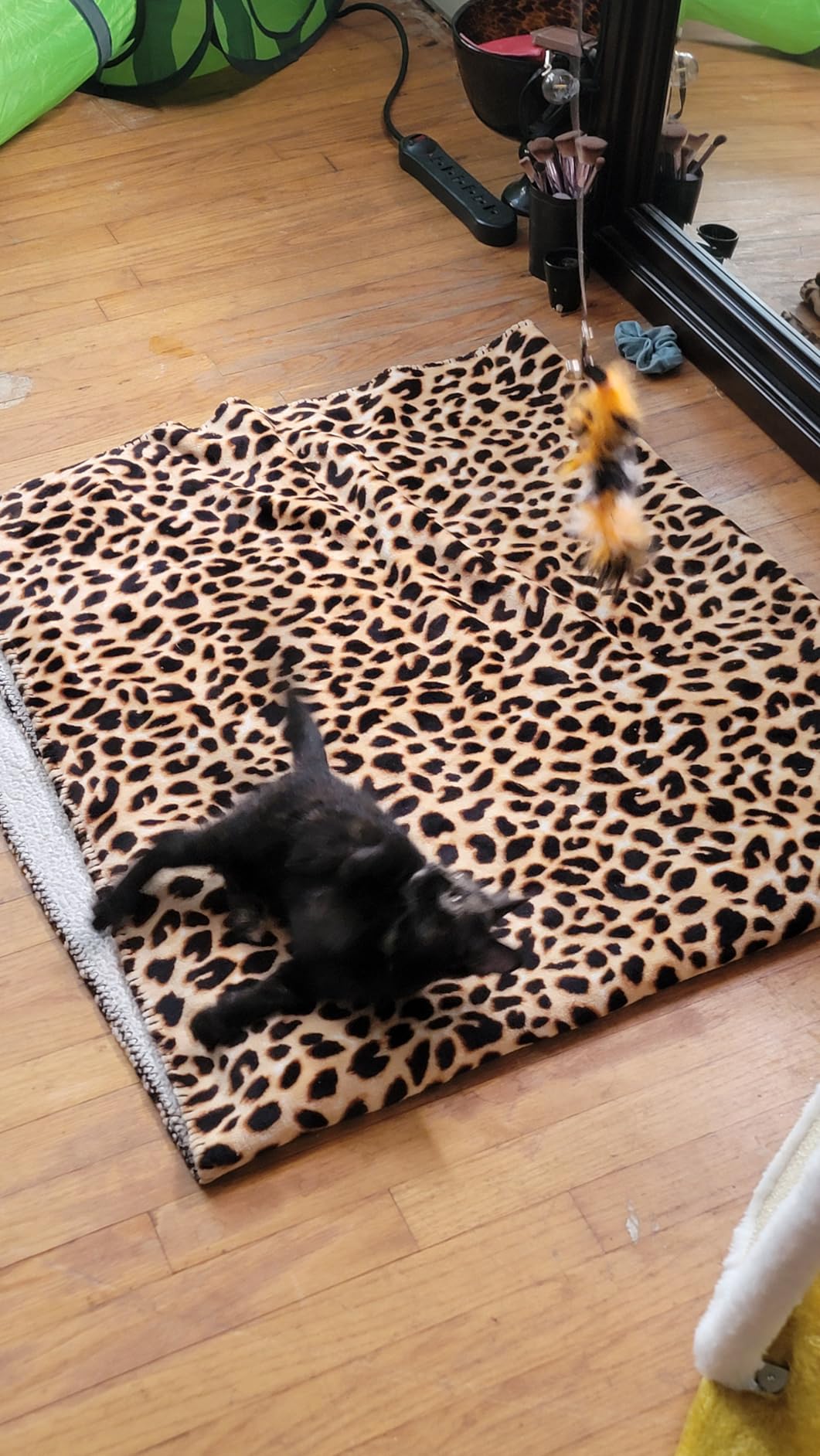 JIARON Cat Toys Interactive Feather Toy, 2PCS Retractable Wand and 10PCS Replacement Teaser with Bell Refills, Interactive Catcher and Funny Exercise for Kitten. customer photo 1