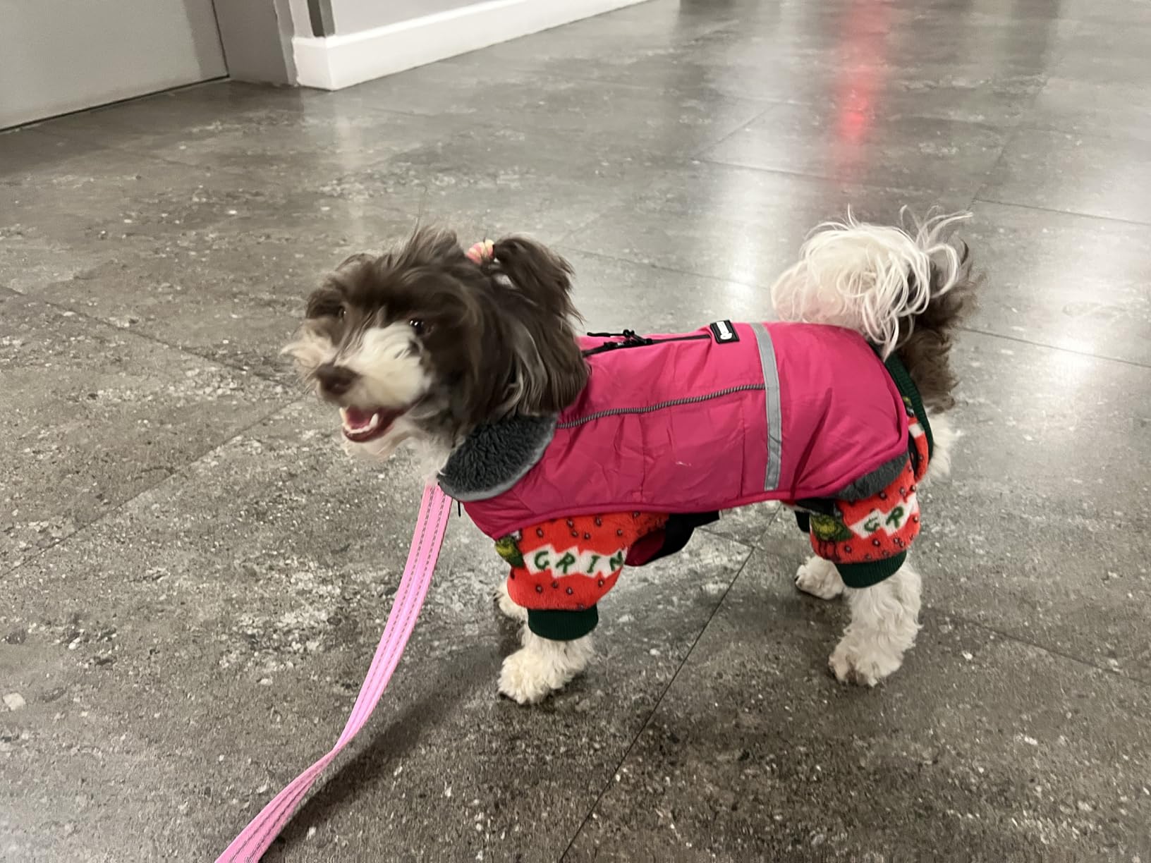QBLEEV Warm Dog Coat, Reflective Dog Jacket, Waterproof Dogs Winter Coat customer photo 1