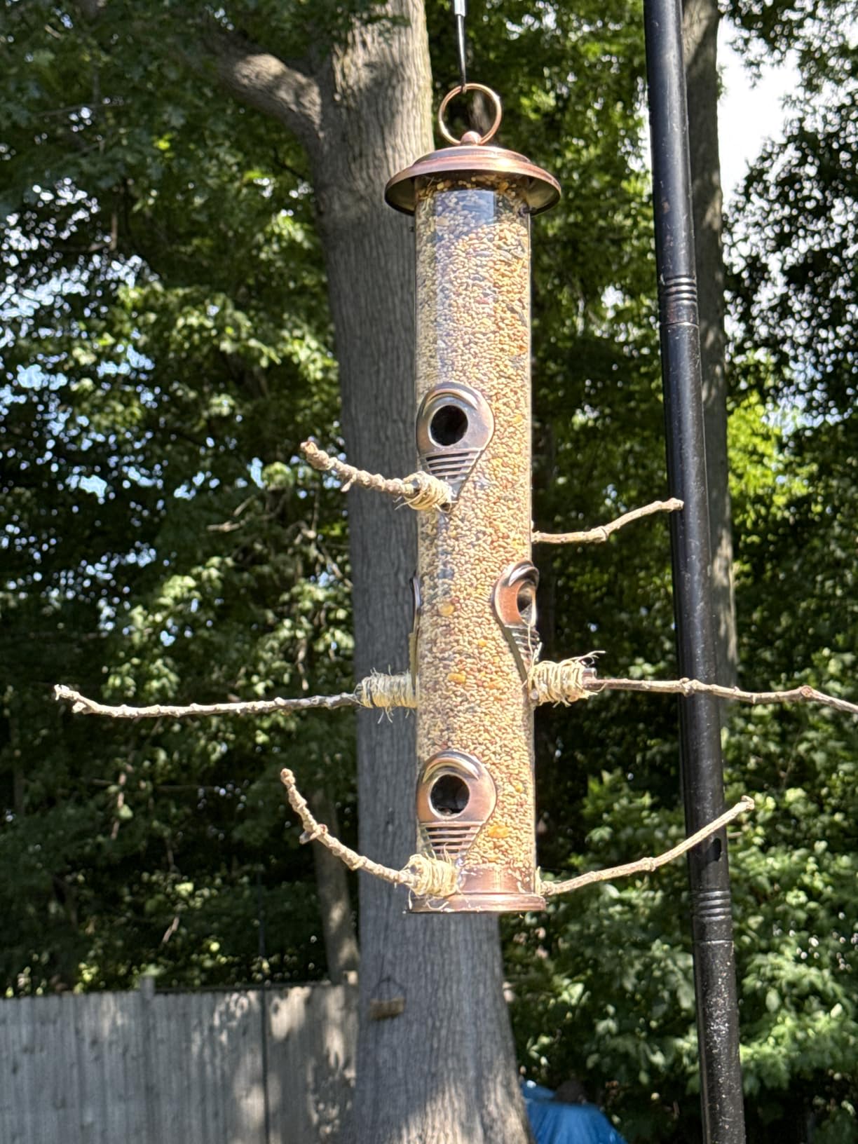 Gray Bunny Squirrel Proof Bird Feeders for Outdoors 6 Port Metal Tube customer photo 1
