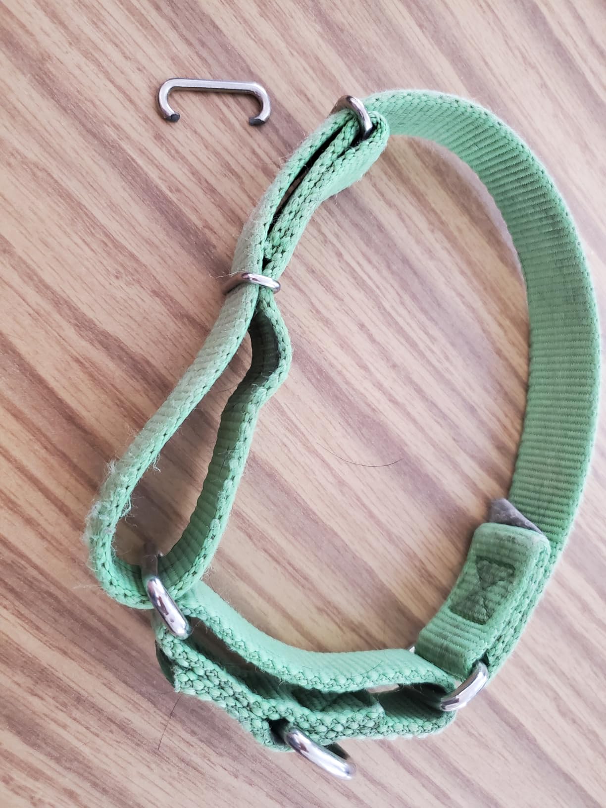 Country Brook Petz - Martingale Dog Collar - Heavy-Duty Training Collar with No Buckle - Service Dog Collar for All Pups - 20 Vibrant Colors (Teal, 1 Inch, Extra Large) customer photo 2
