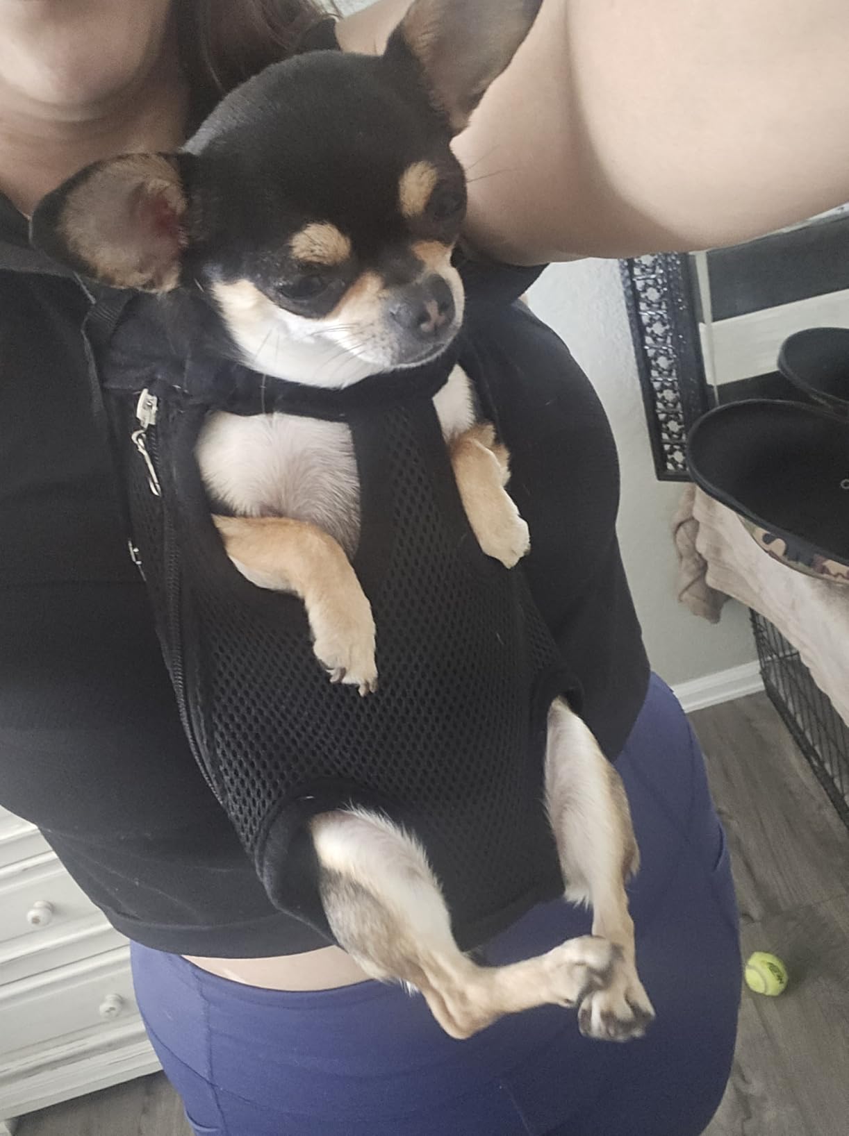 Dog Carrier Legs Out Front Pet Carrier Backpack Adjustable Puppy Cat Small Bag with Shoulder Strap and Sling for Traveling Hiking Camping Outdoor customer photo 1
